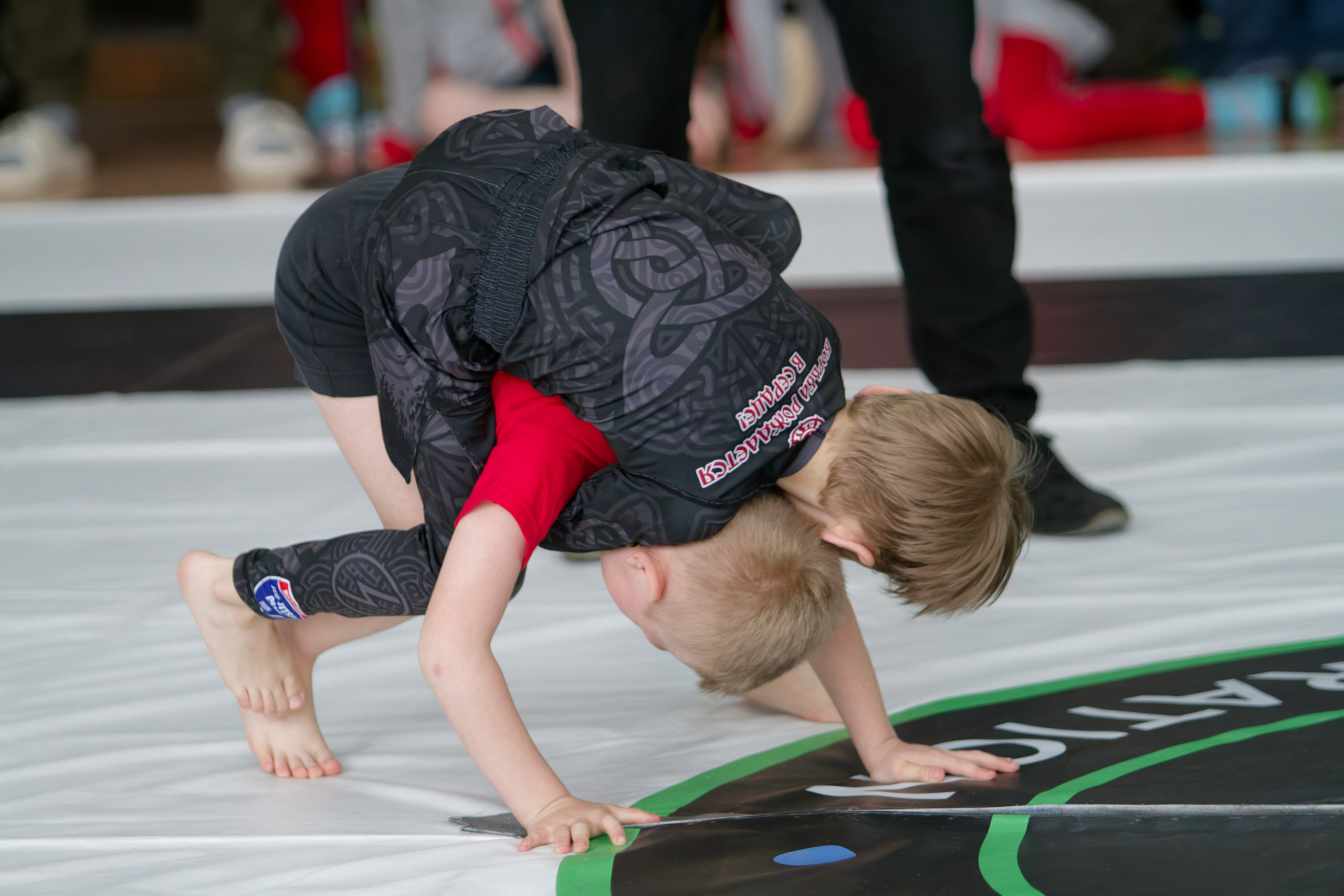 Борьба. Джиу-джитсу 26.04.2025. Репортажный и спортивный фотограф в г. Пермь Зильберг Павел