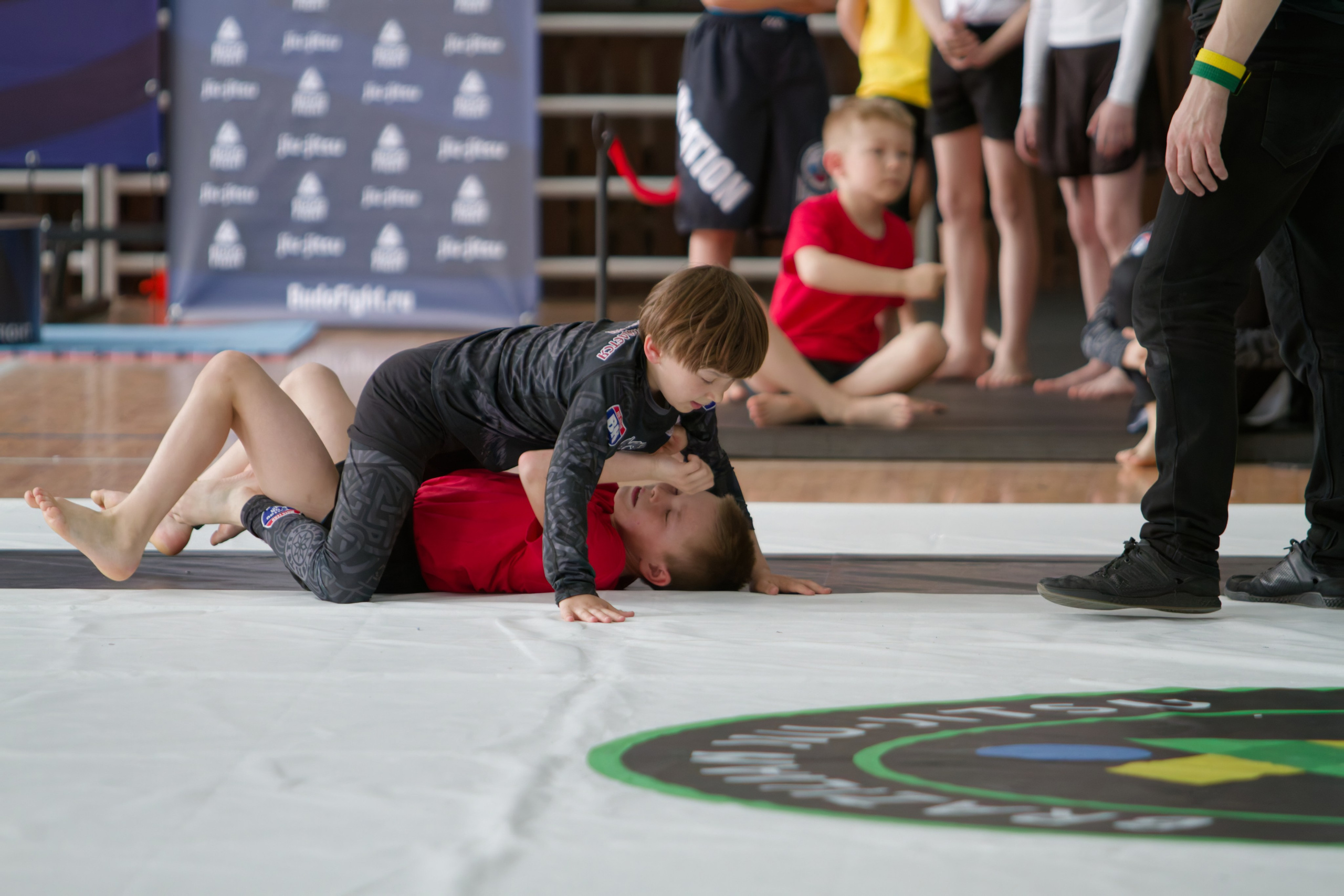 Борьба. Джиу-джитсу 26.04.2025. Репортажный и спортивный фотограф в г. Пермь Зильберг Павел
