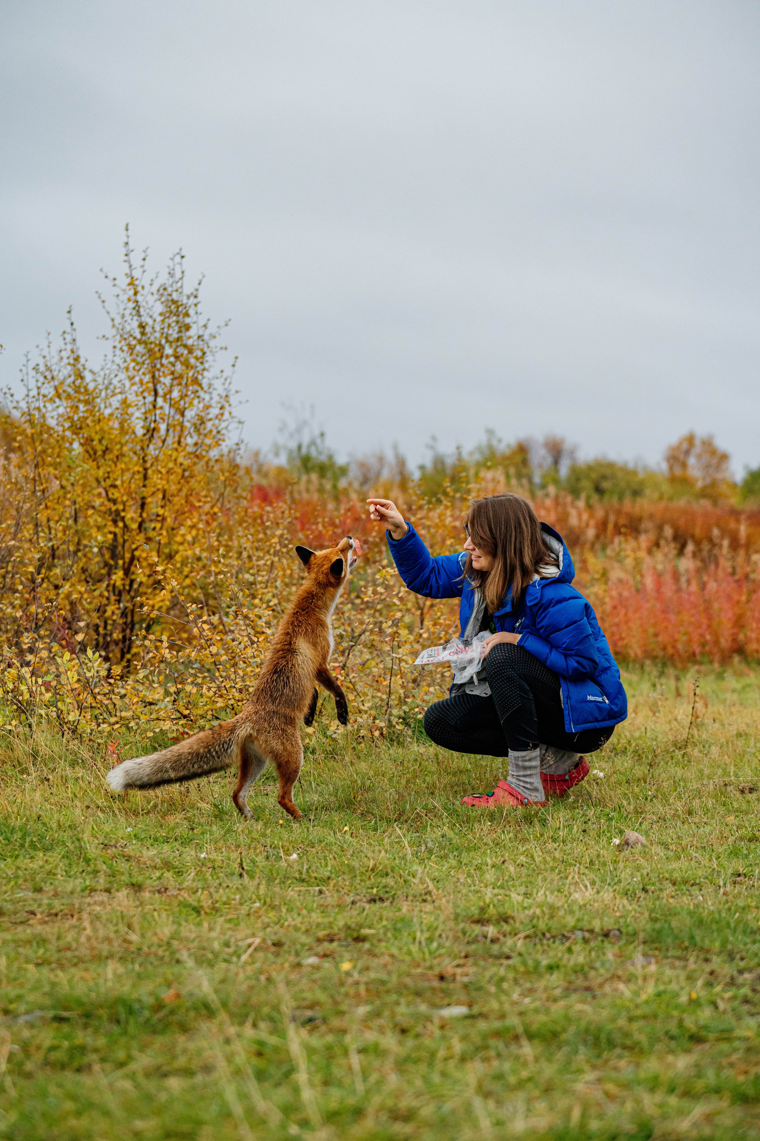 СЕВЕР. Event фотограф Степанова Александра