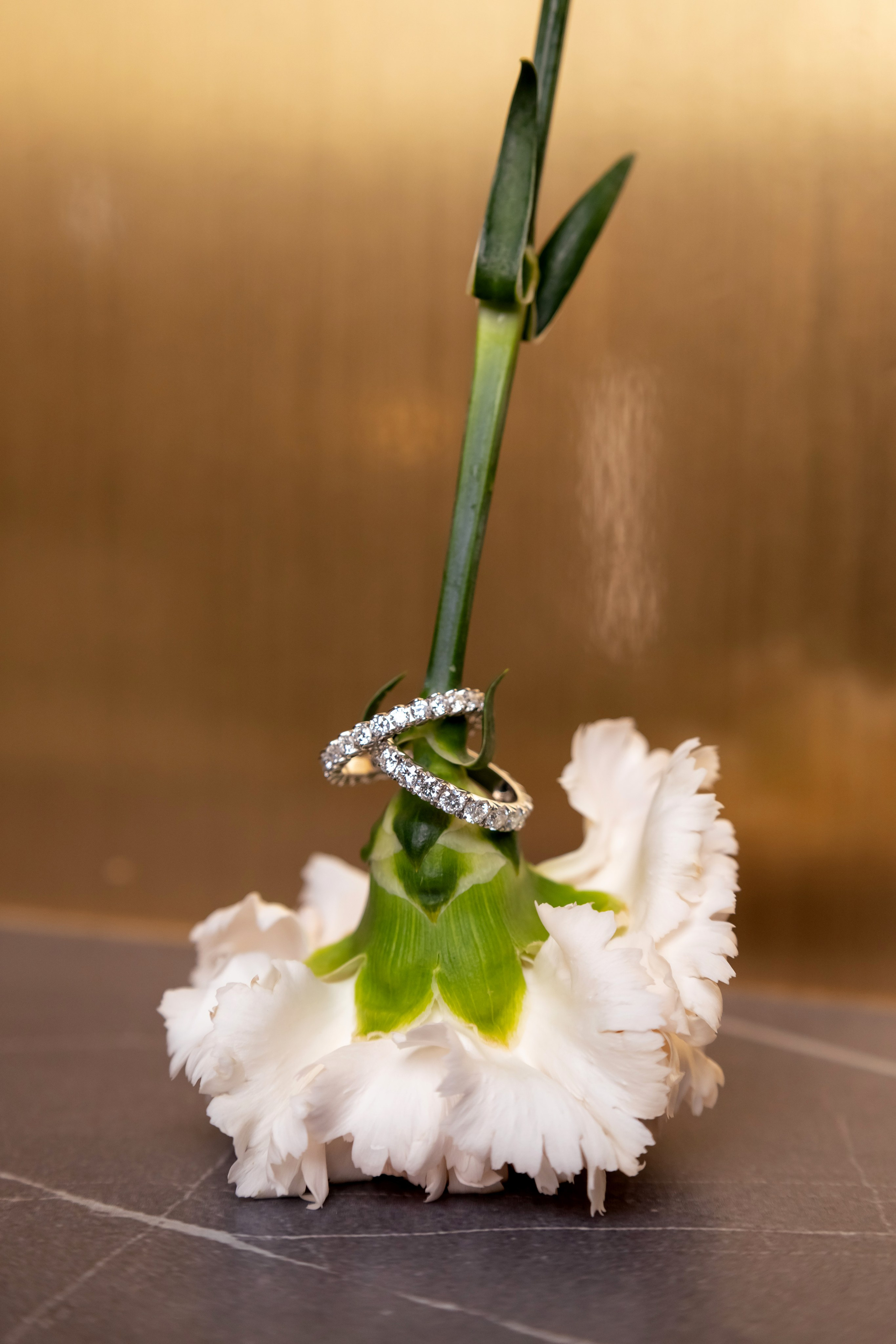 Ювелирные украшения Klondike. Фотограф Полина Закирова