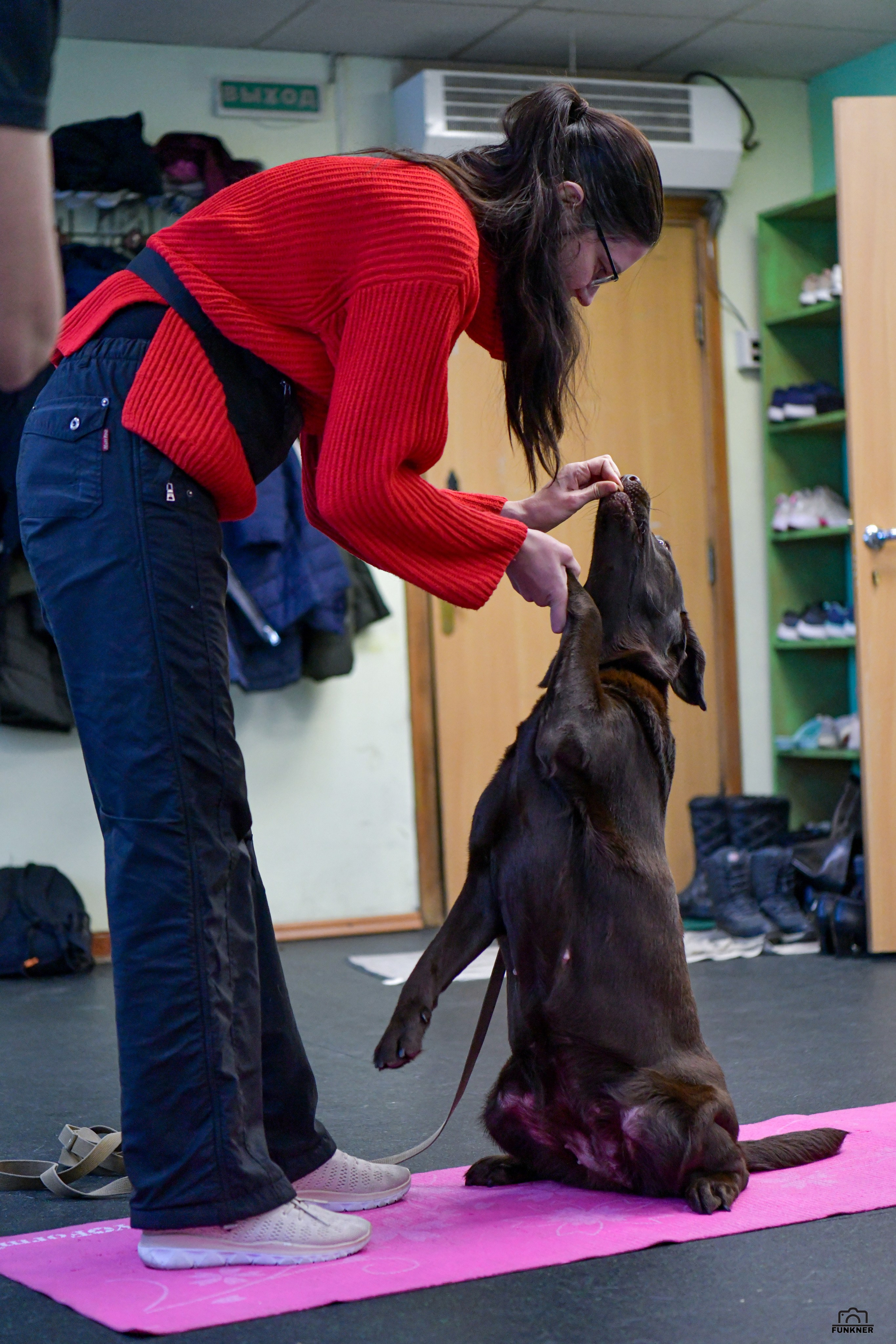 Кинологический клуб «Бодрый хвост». Свой взгляд через объектив