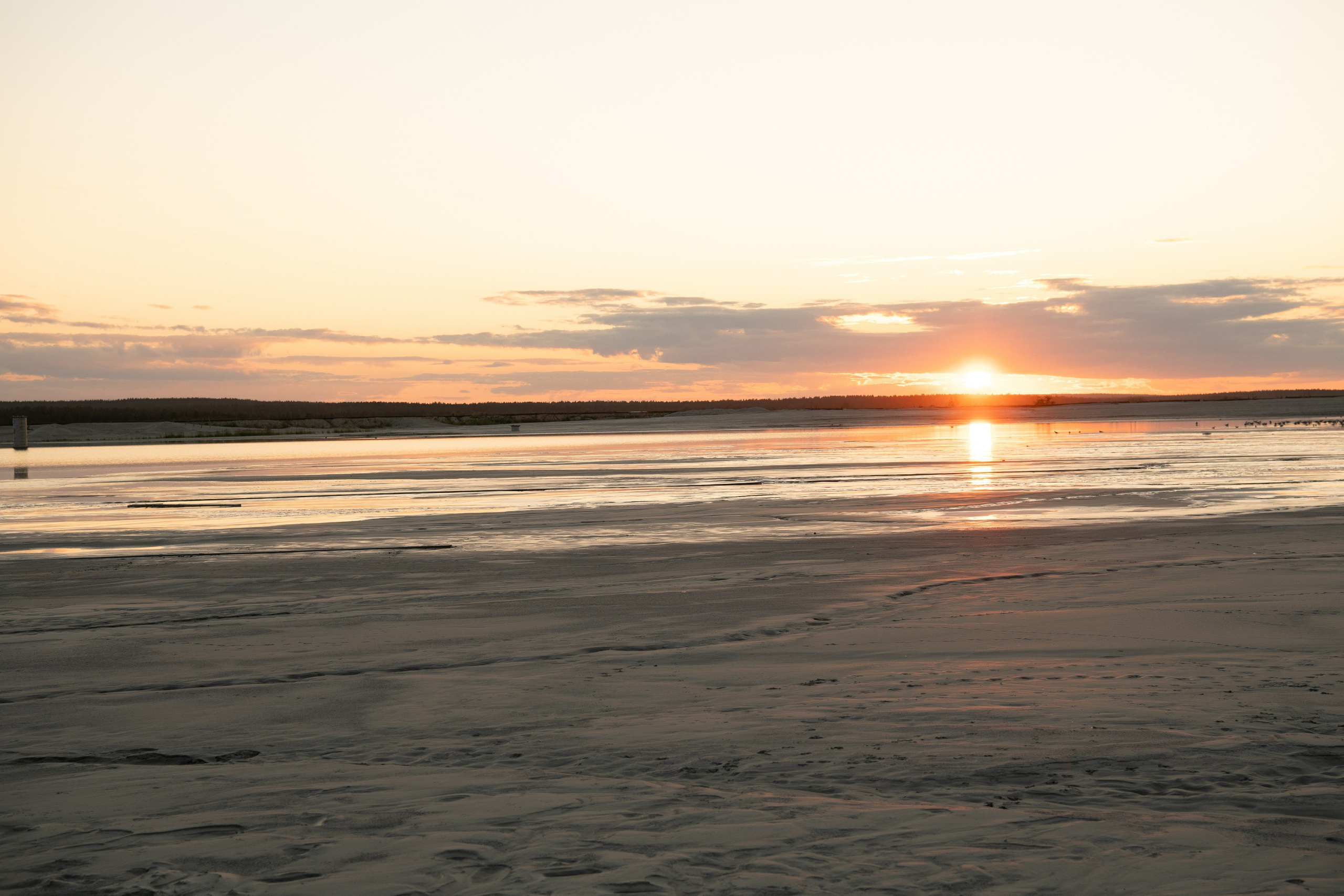 Золото песков. Фомина Елена Свадебный и семейный фотограф