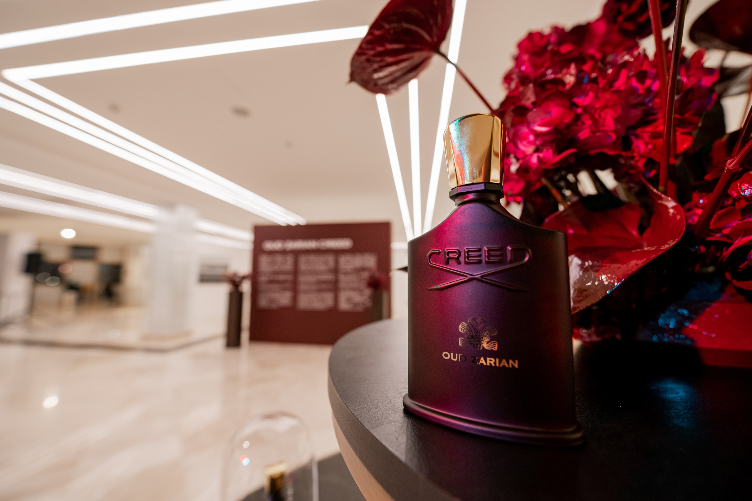 CREED. Фотограф Астана, Алматы