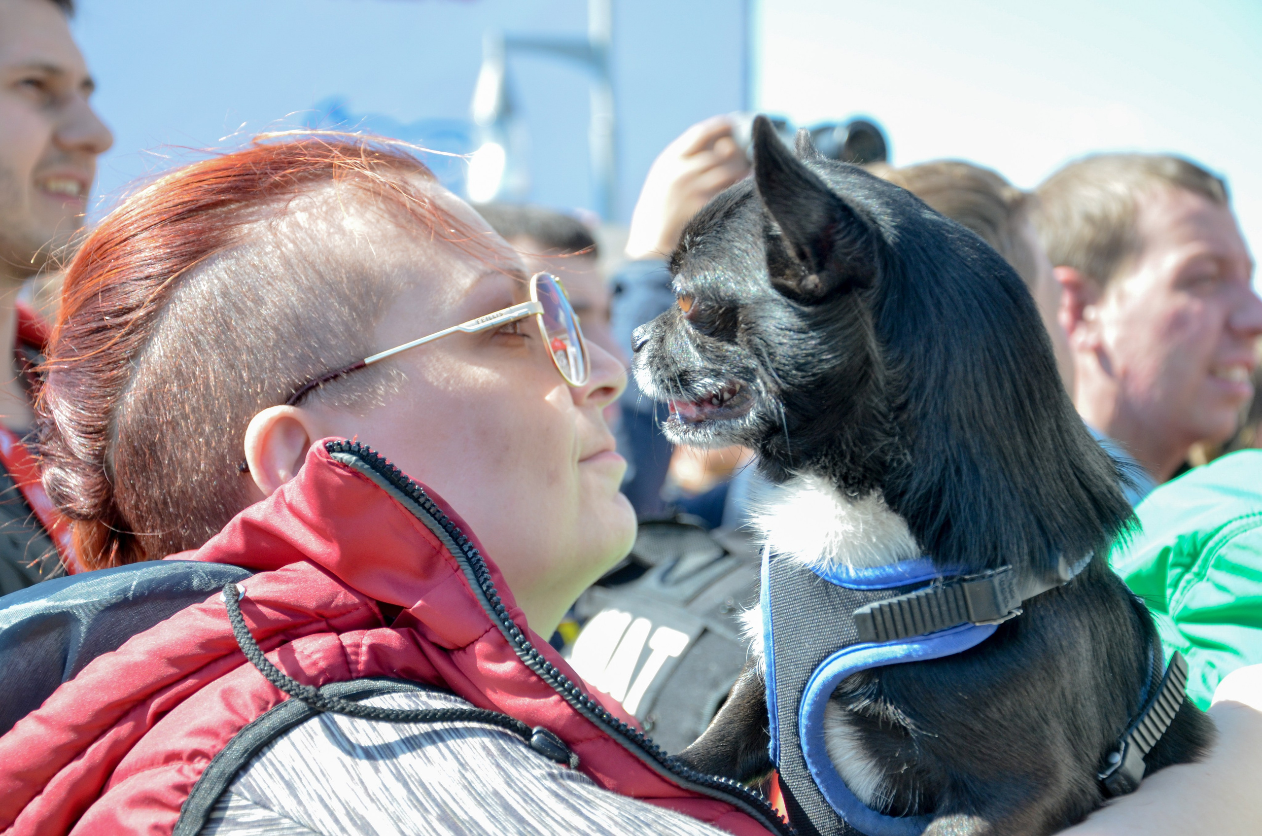 Мотофестиваль. Фотограф в Москве Виктория Назаренко