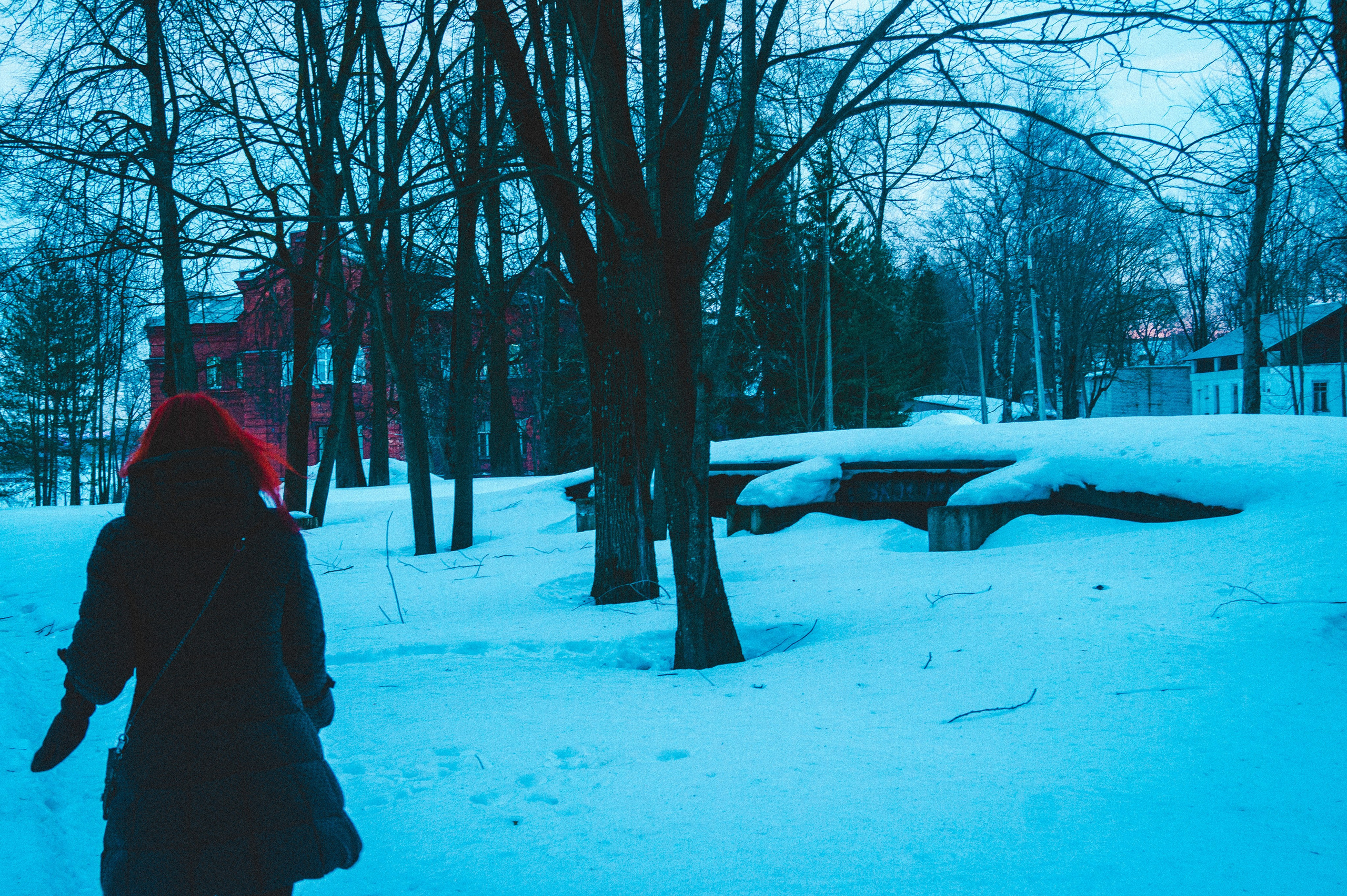 Remnants of Winter. Den Mirov — Photographer, Musician