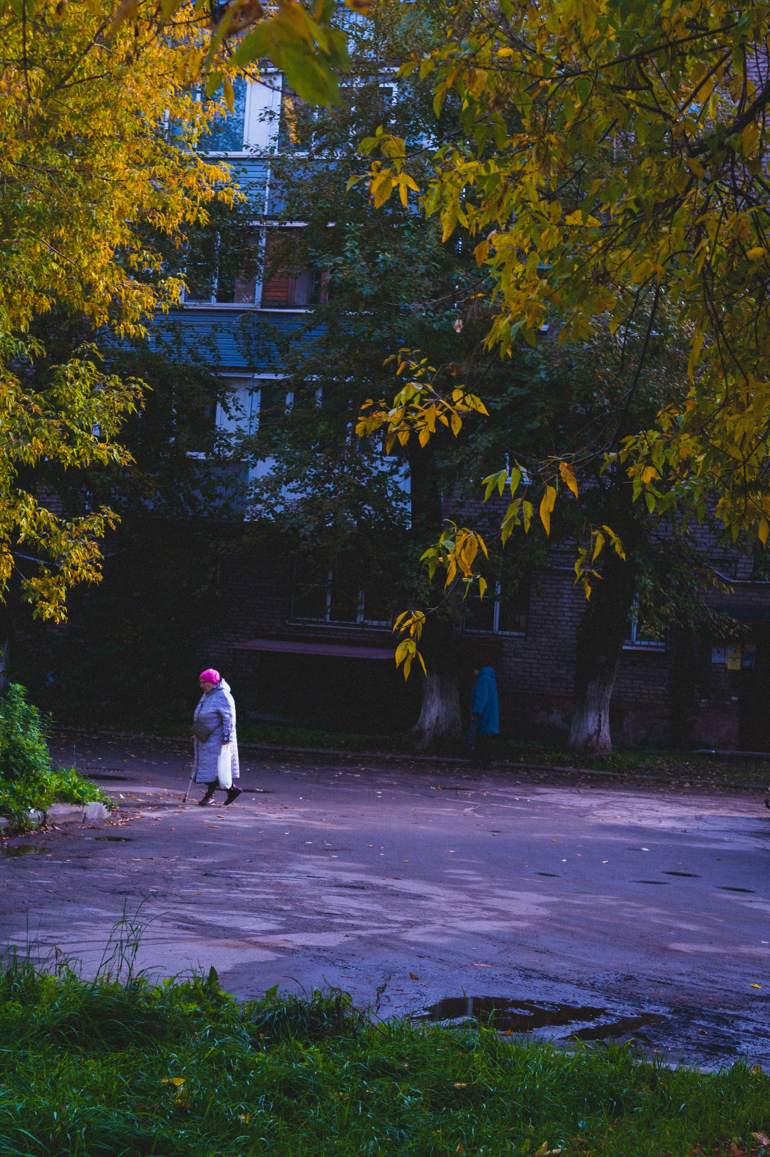 Октябрь 2025. Den Mirov — Фотограф, Музыкант