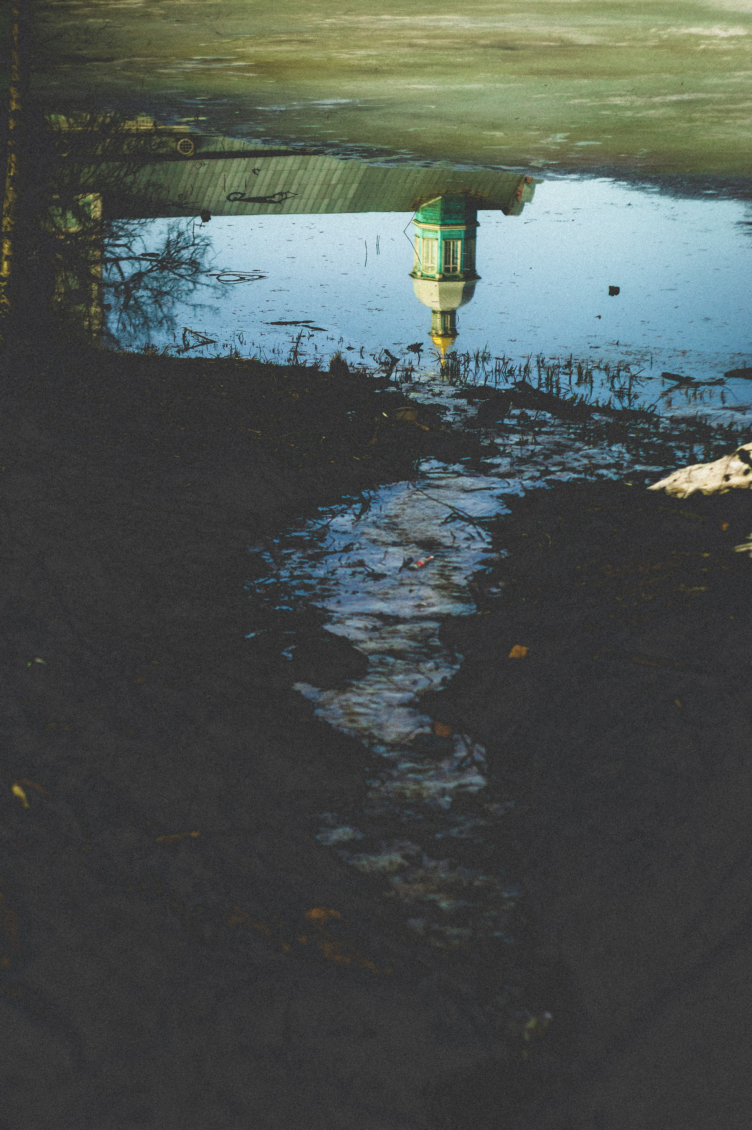 Kingdom. Den Mirov — Photographer, Musician