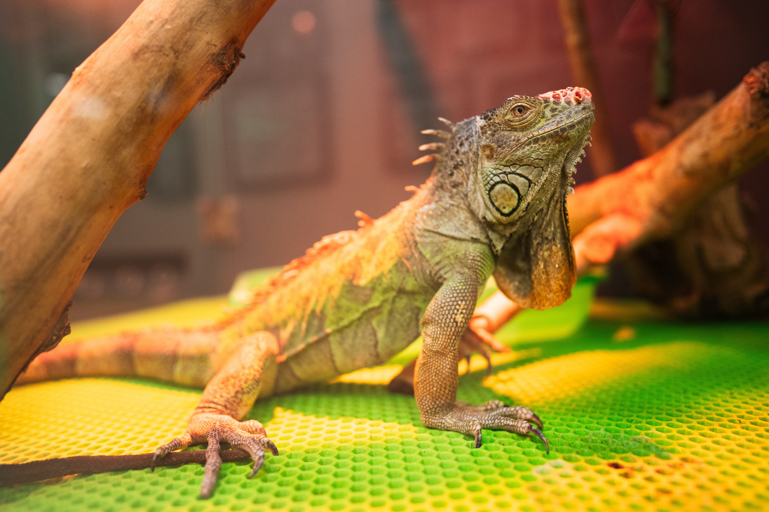 Ночь музеев 2024. Фотограф на любое событие в Кемерово