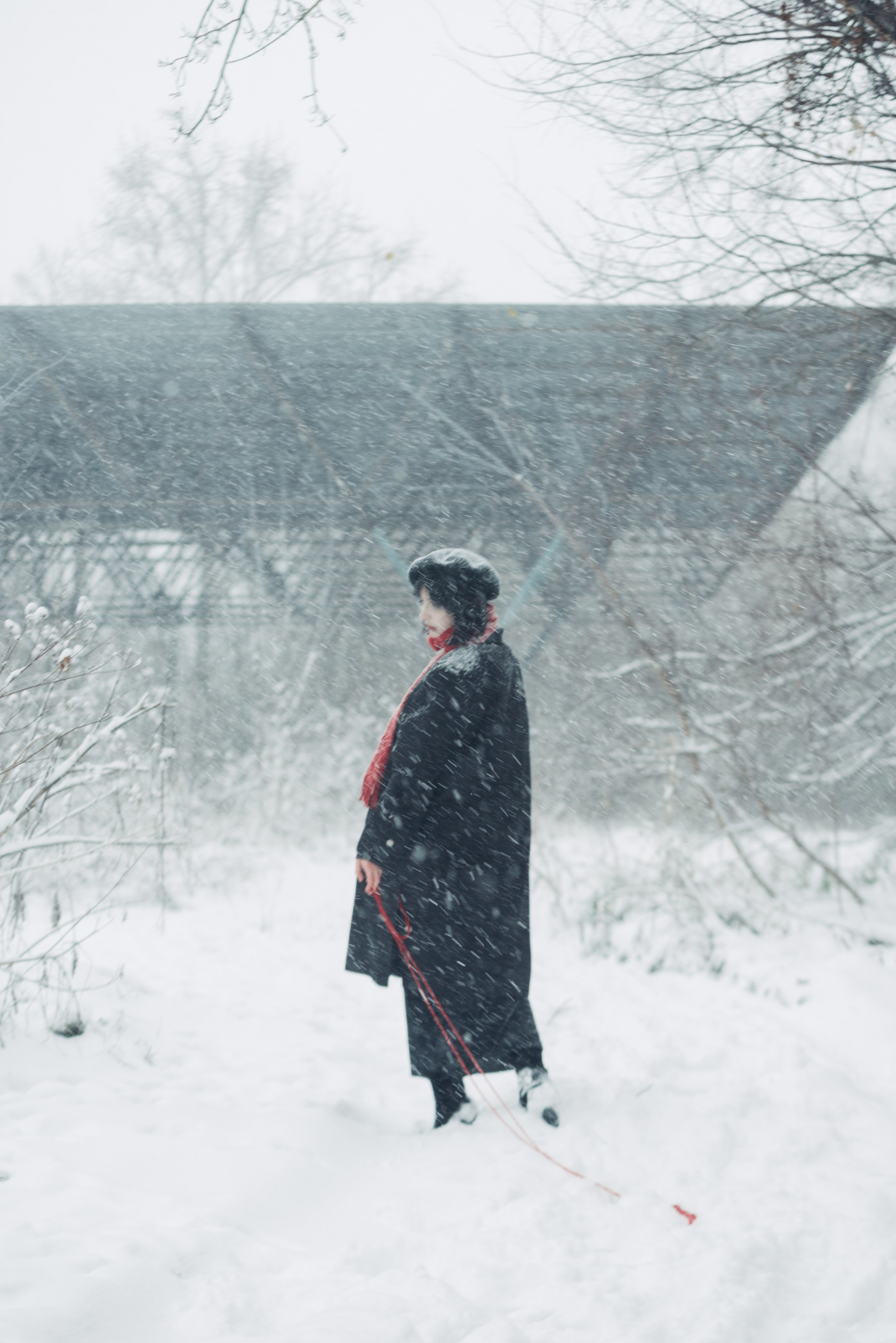 Снег и Красный. Главная