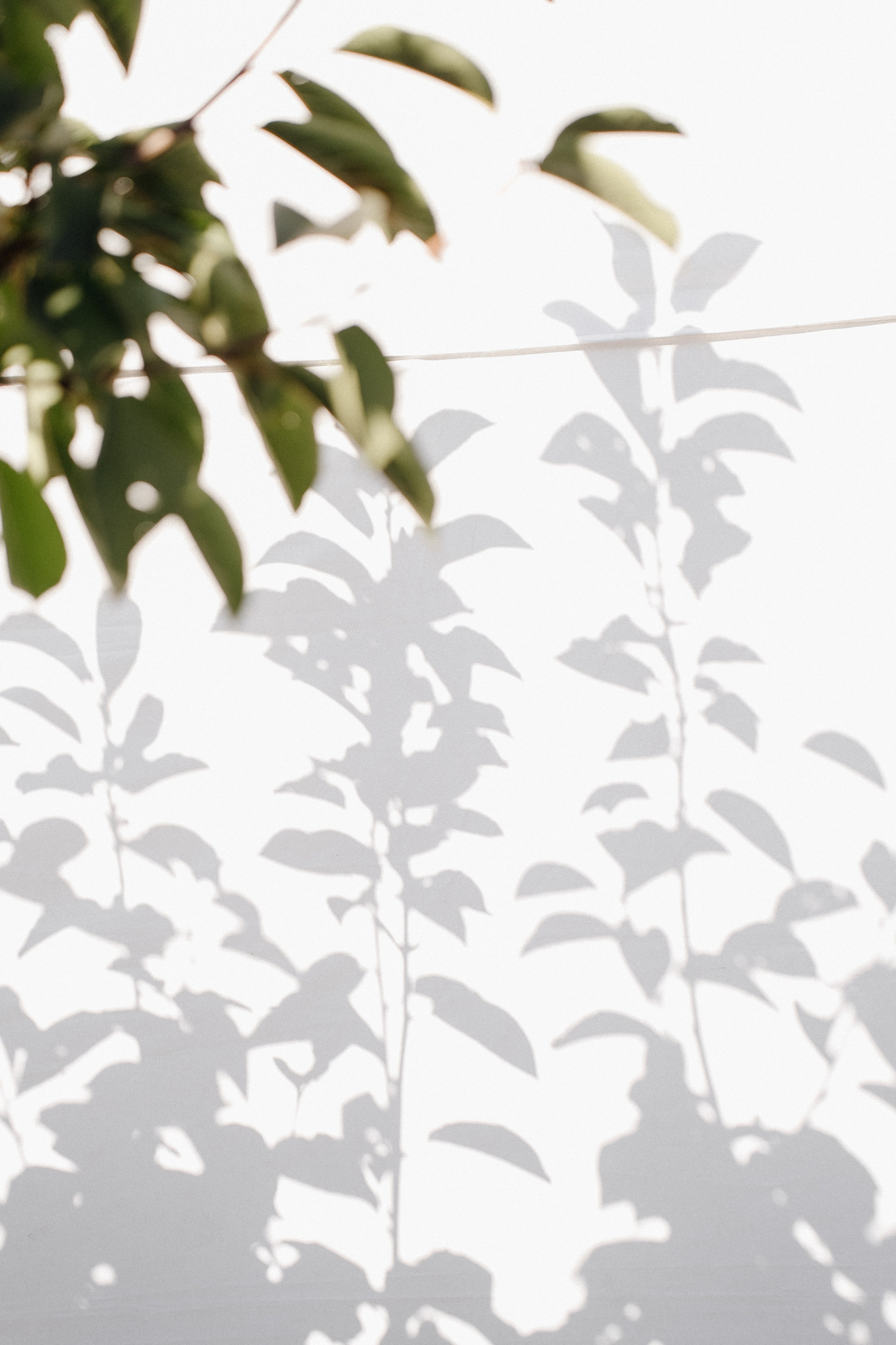 Гендер-пати. Свадебный фотограф в Краснодаре и Сочи Винидиктова Екатерина