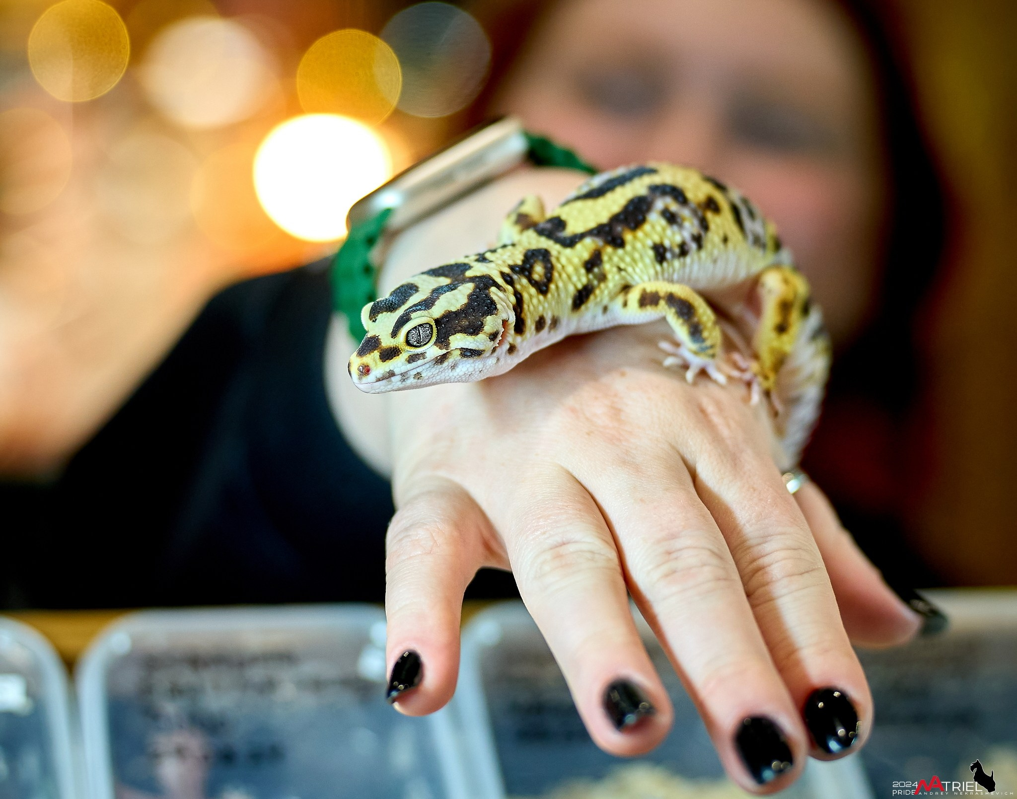 Репортаж с выставки РЕПТИЛИУМ-2024