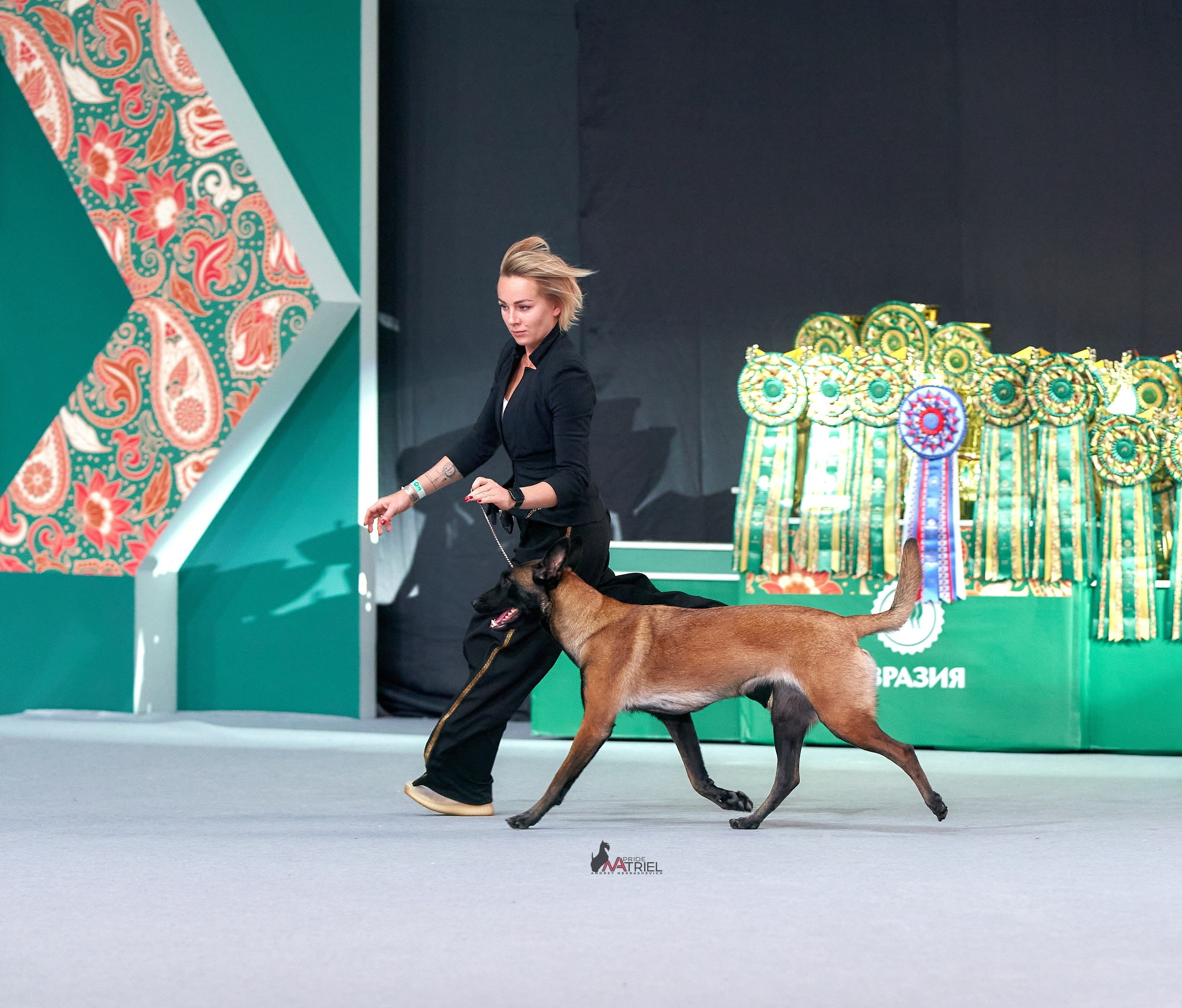 Работа в рингах — галерея NATRIEL