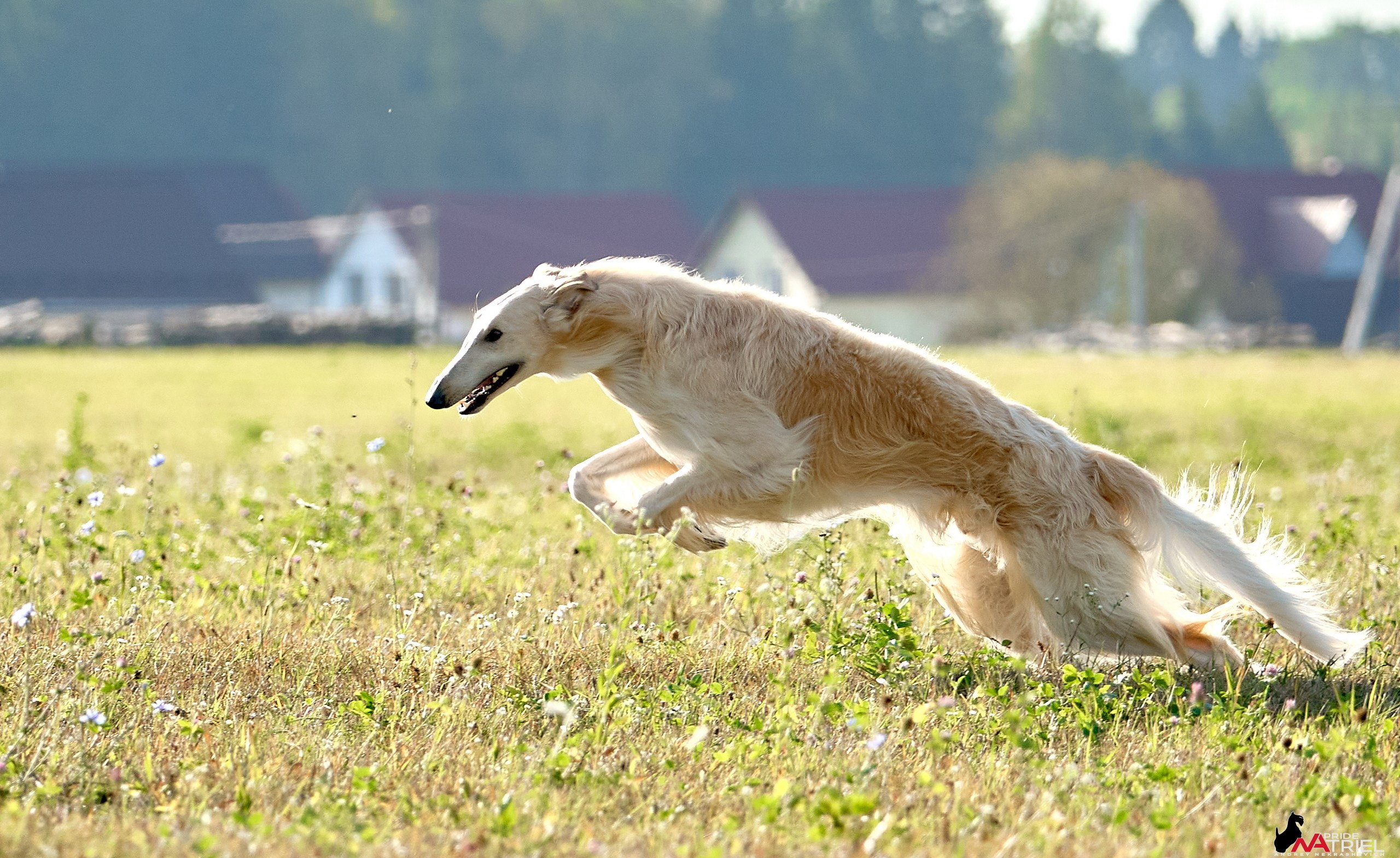 Съемка курсинг — галерея NATRIEL