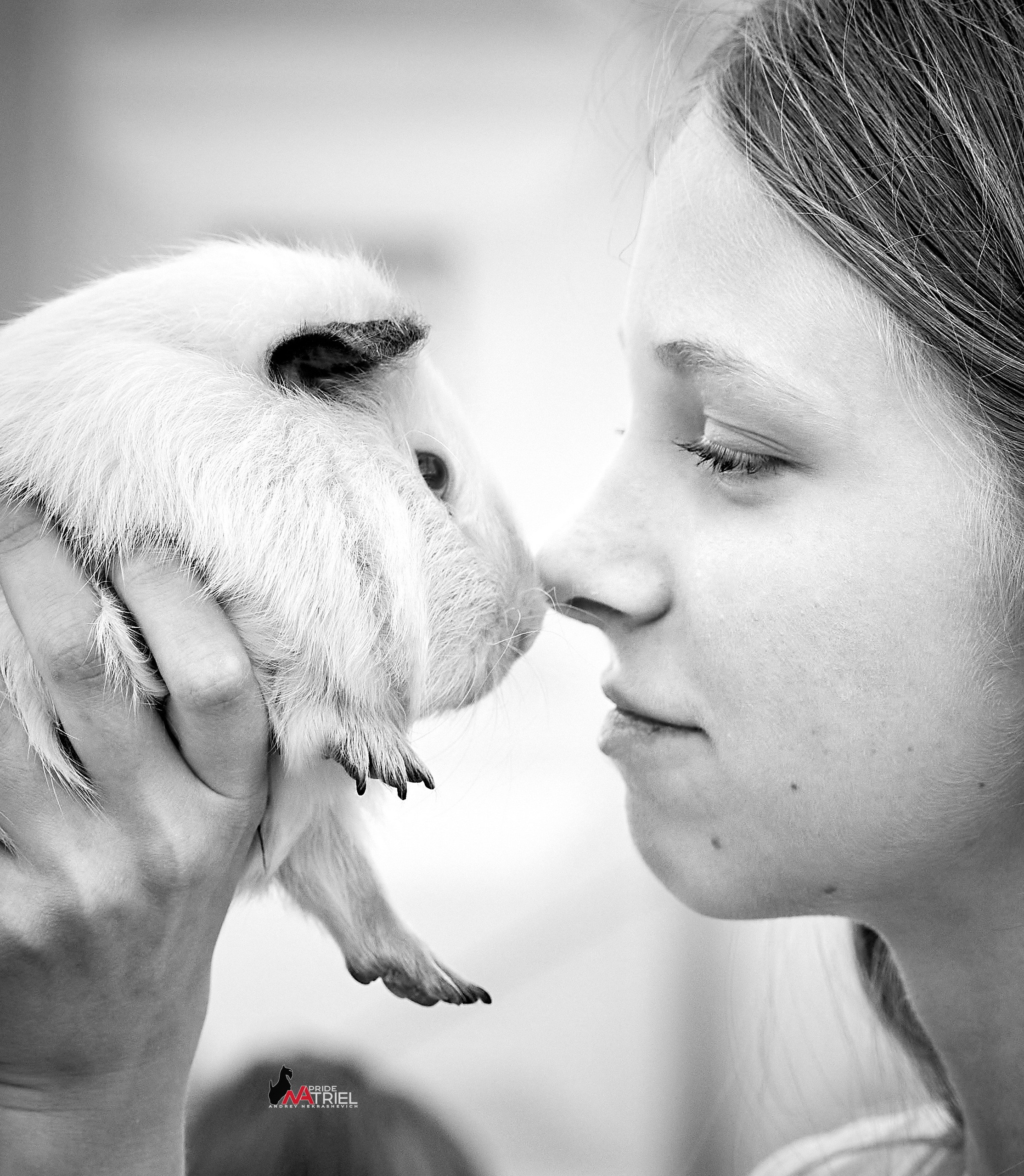 Выставки животных — галерея NATRIEL