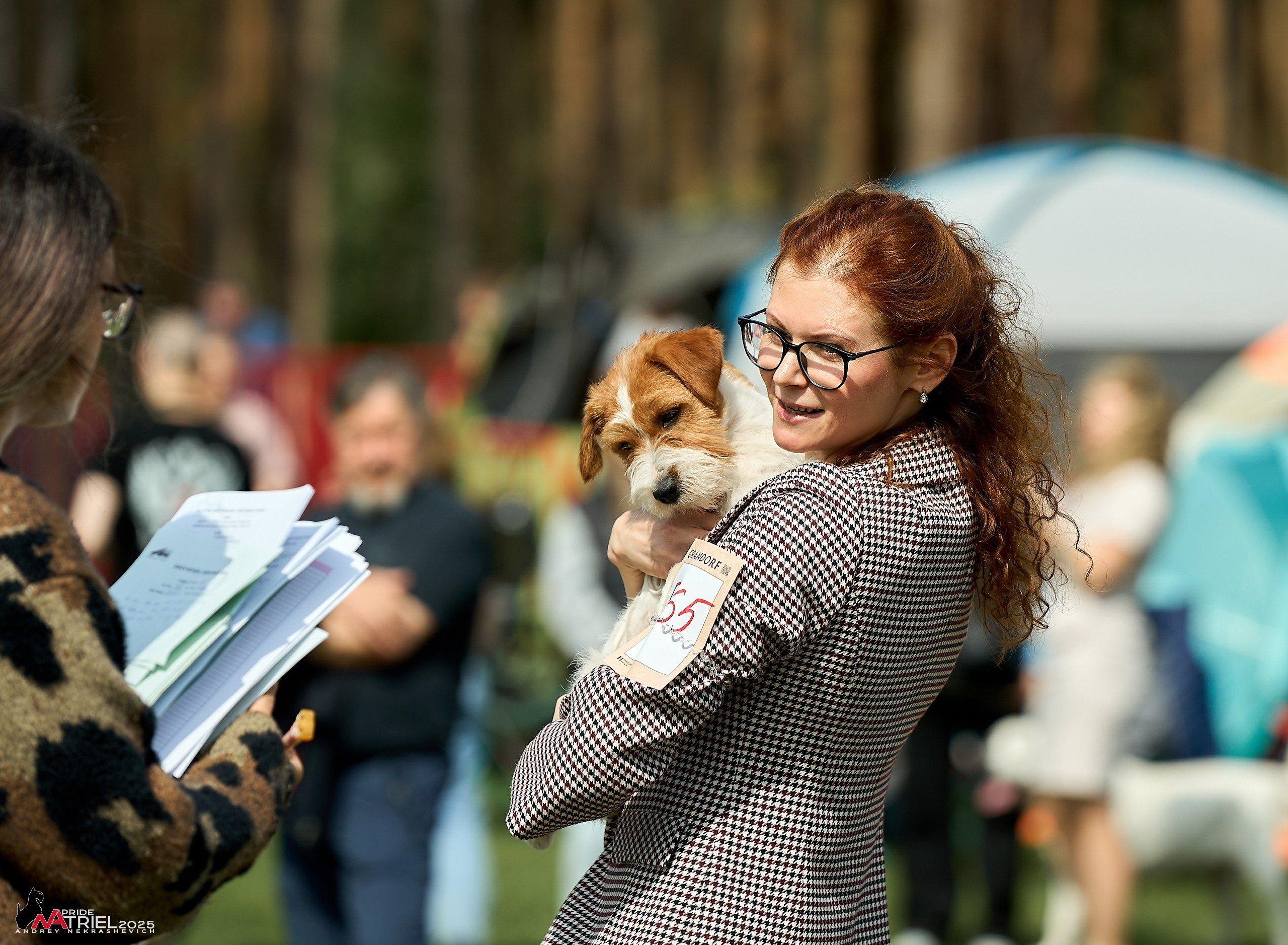 Выставка собак Суздаль-Владимир
