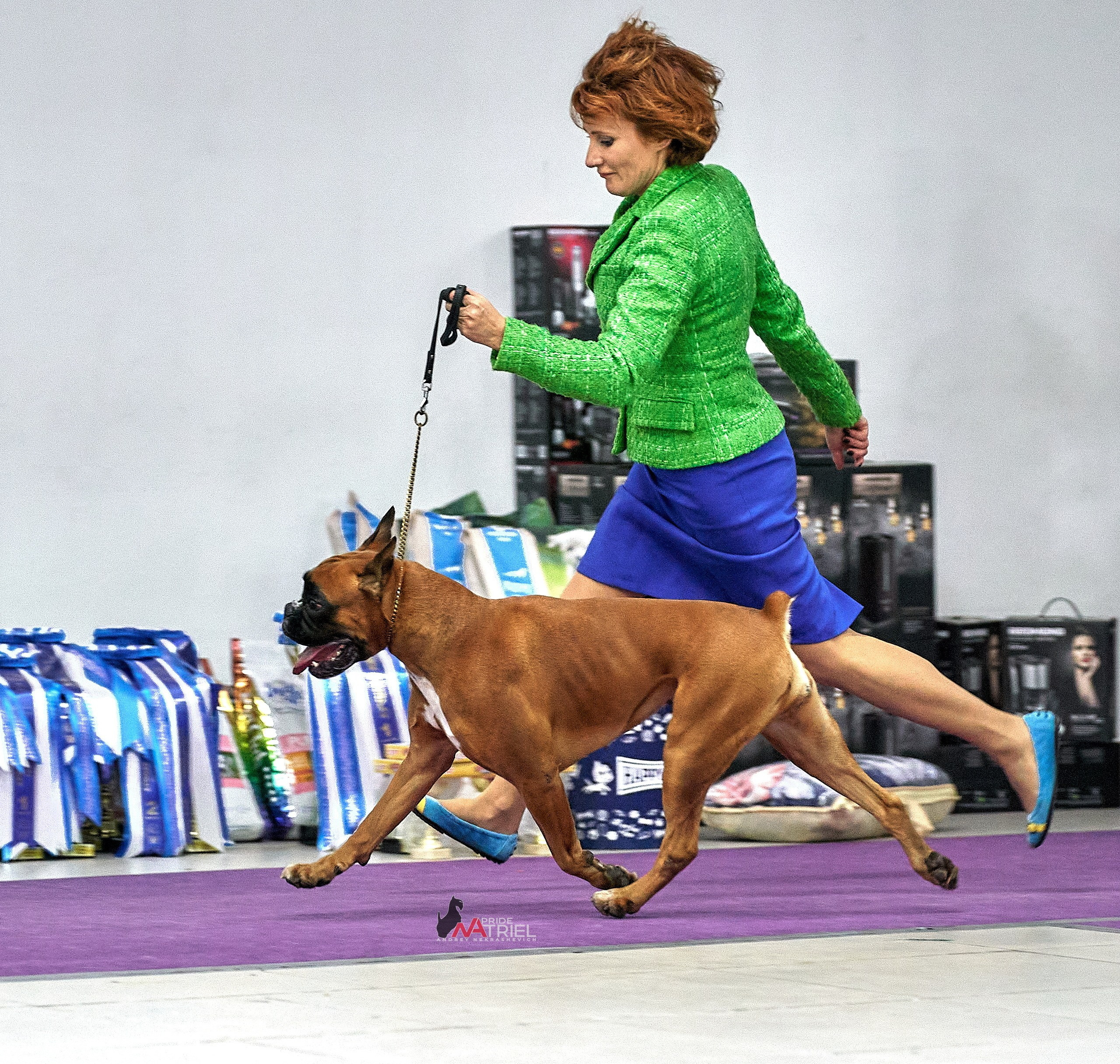 Работа в рингах — галерея NATRIEL