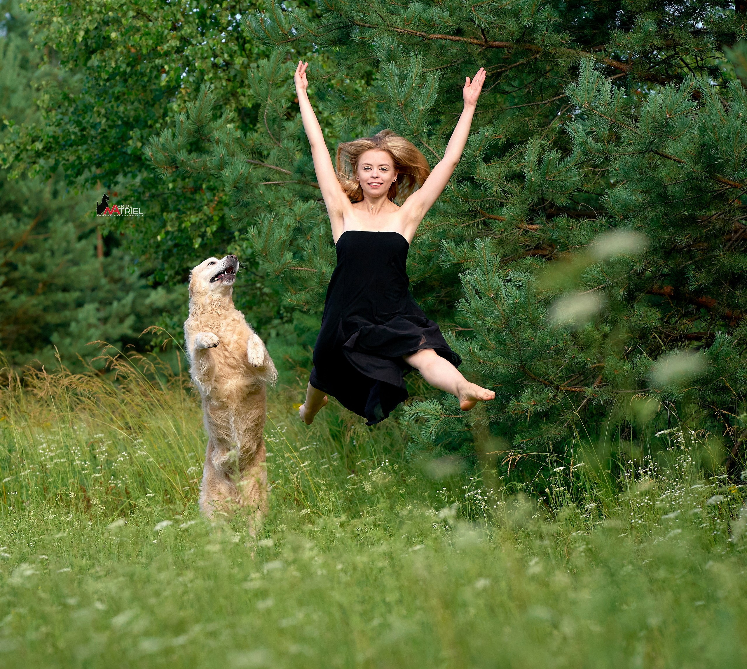 Обидиенс и танцы с собаками — галерея NATRIEL