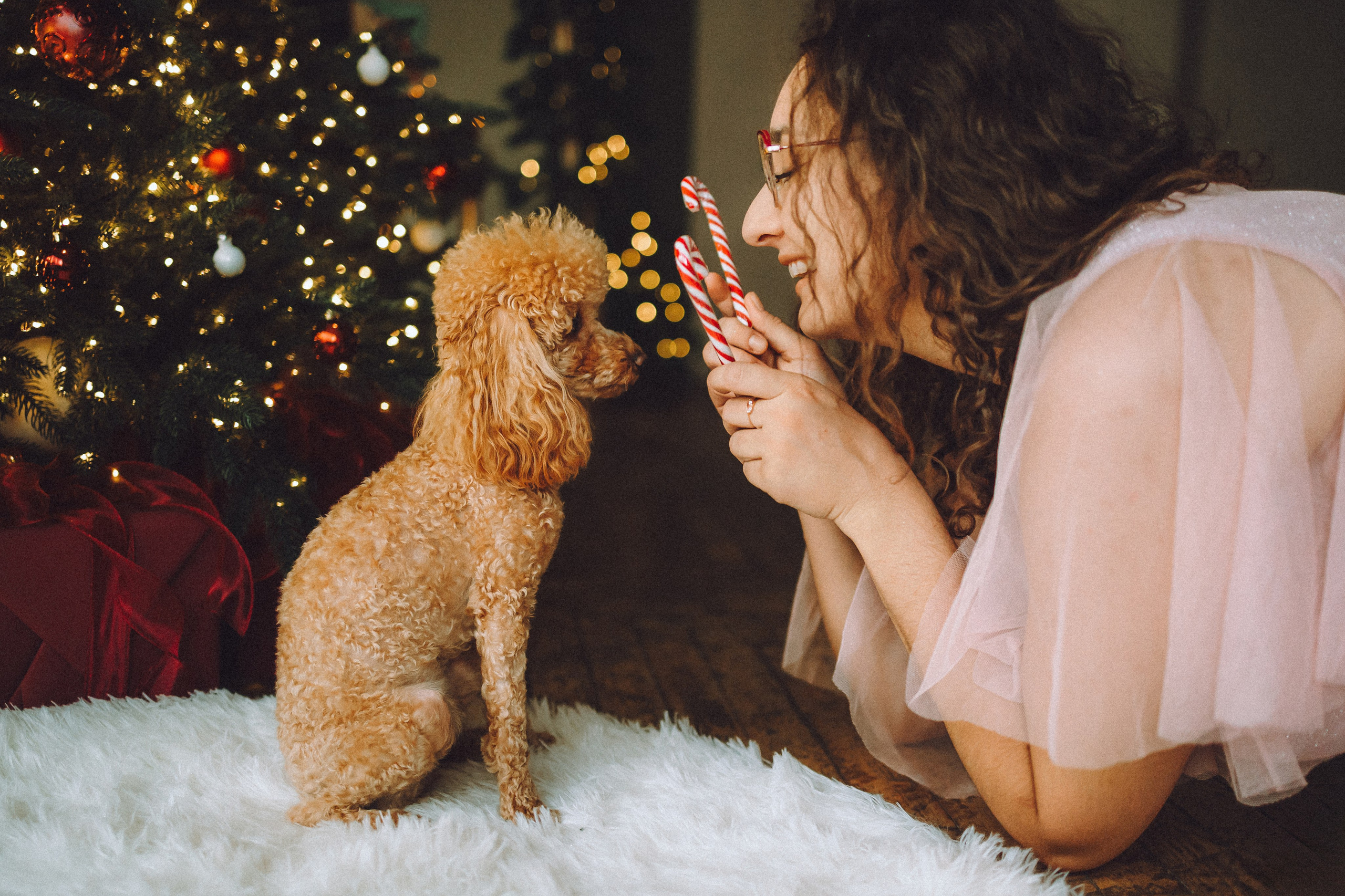 Джули, Шелли и их семья