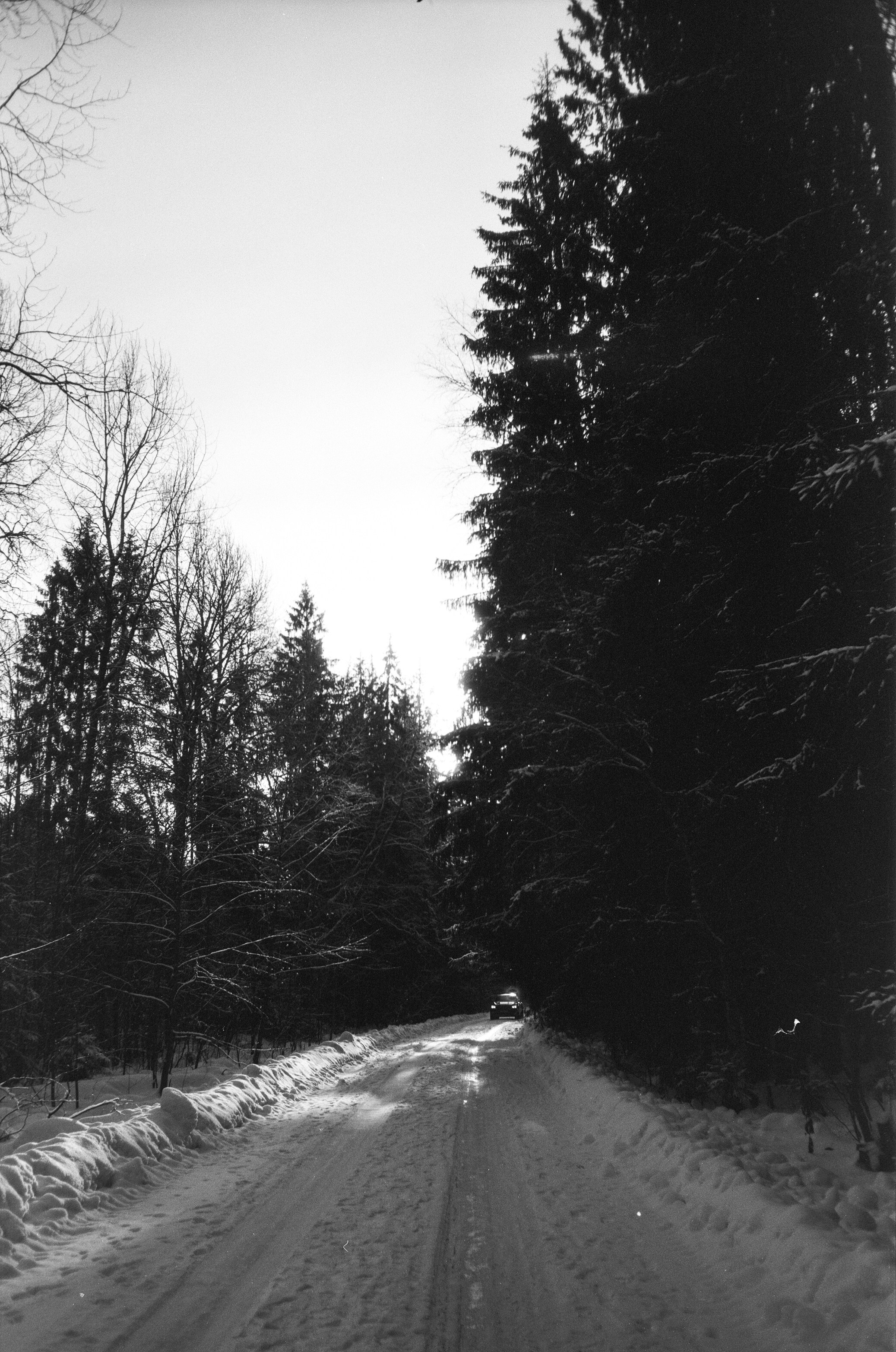 Minox 35GT / Тасма Т-25 ISO 100 / Давыдовское, Лукино