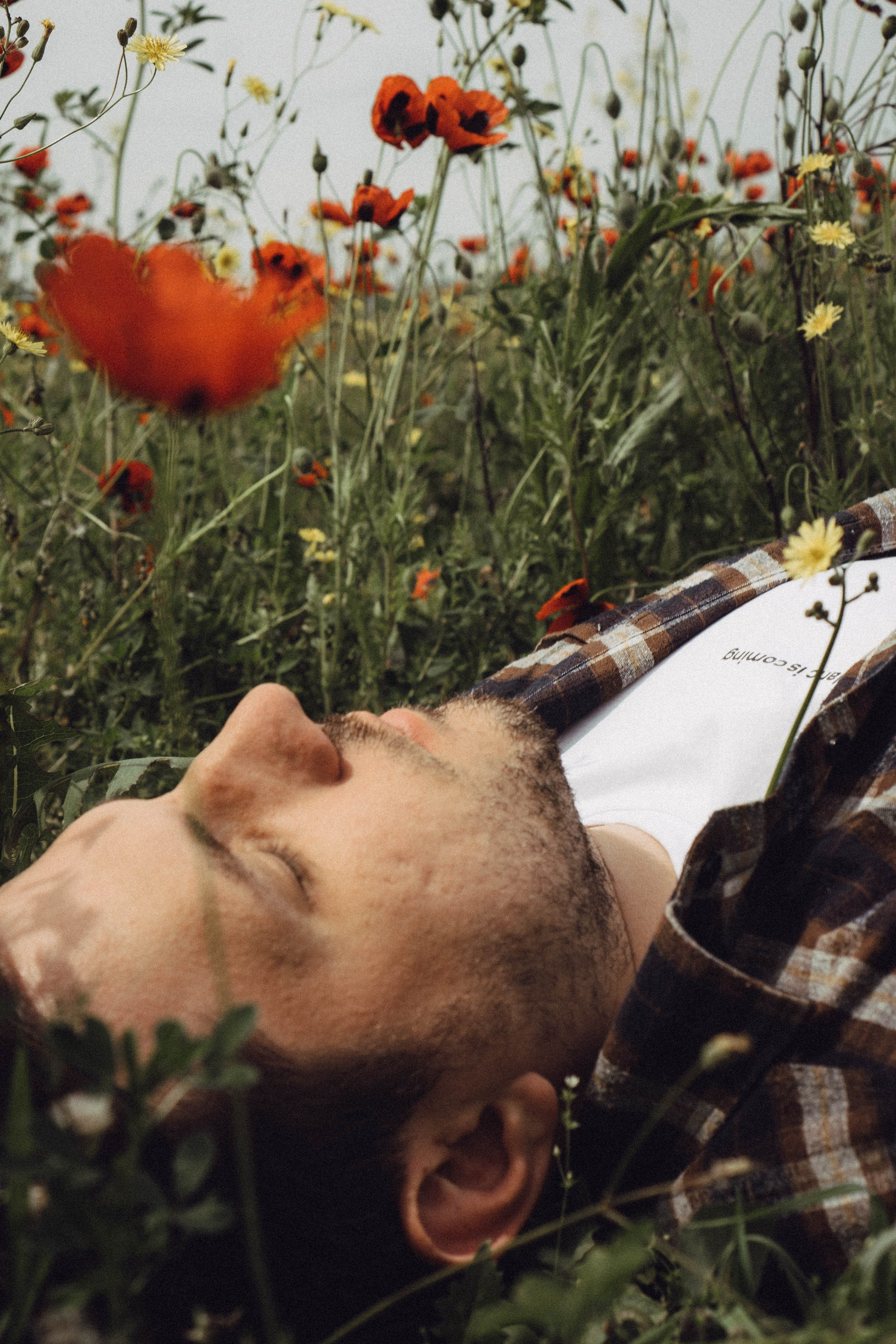Маки. Профессиональный фотограф, Санкт-Петербург — Виктория Богомолова
