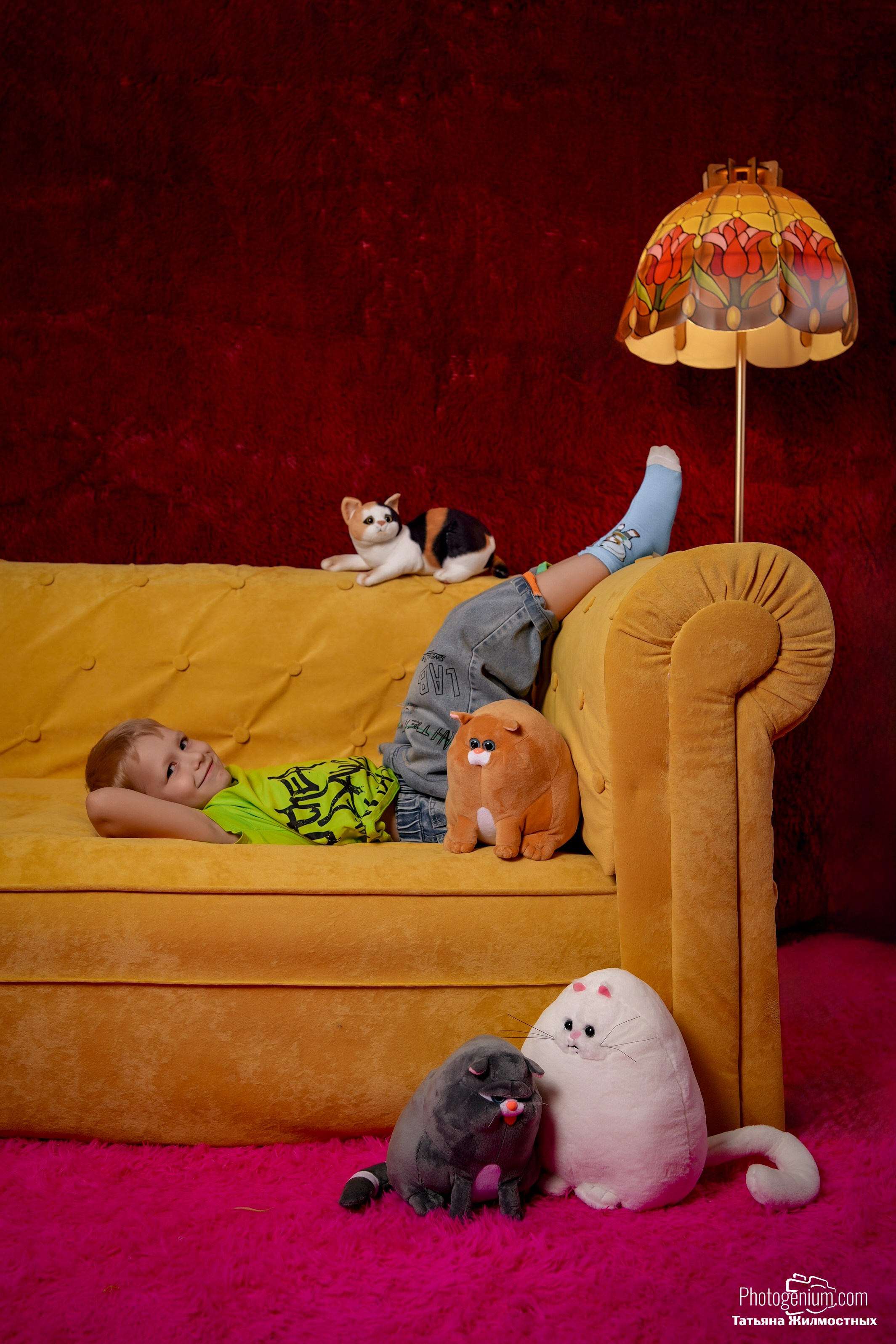 Студийная съемка Котики. Фотограф Нижний Новгород Татьяна Кэйод