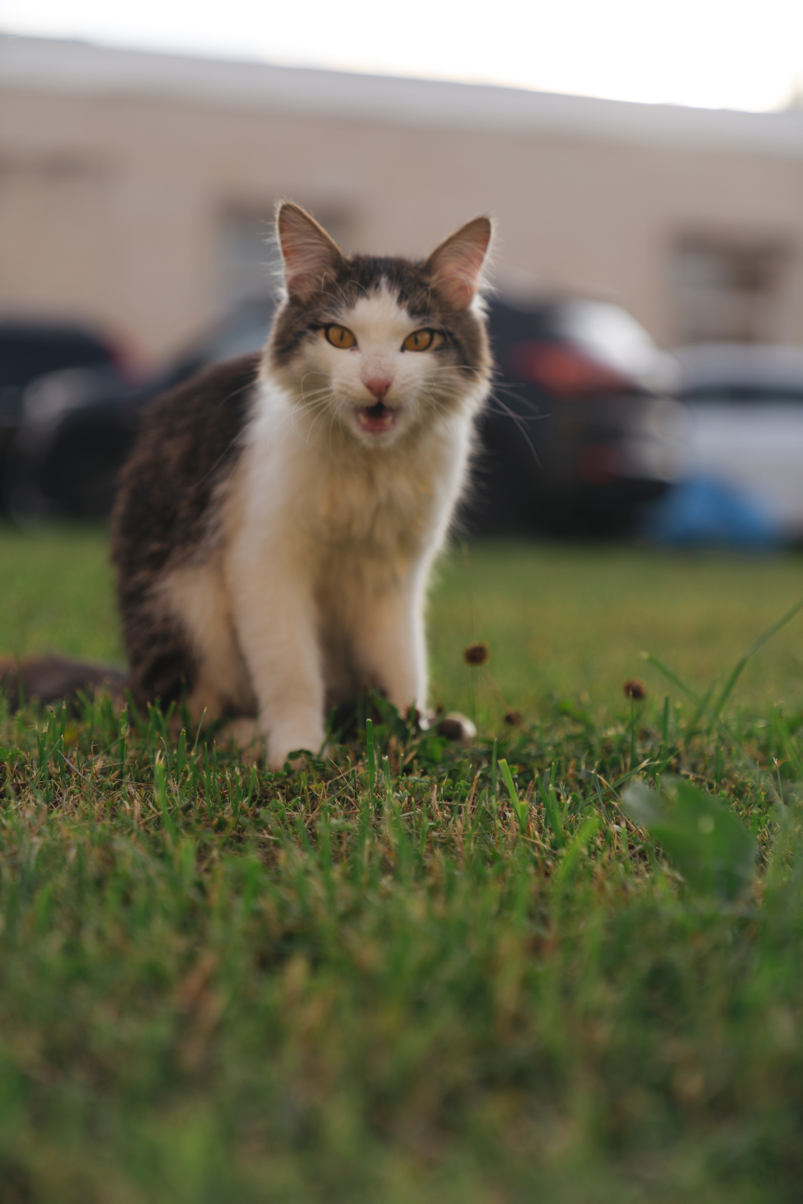 Бизнес слёт. Свадебный фотограф в Москве Кристина Чехова