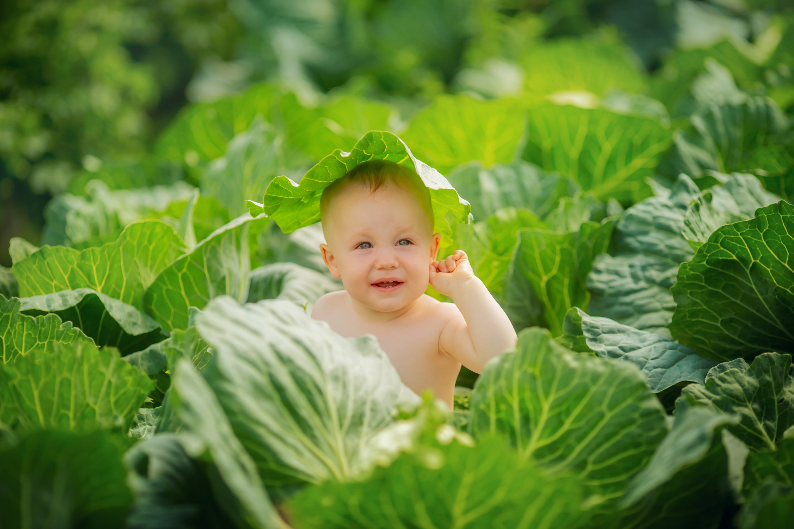 Летом на даче. צלם ואמן ילדים ומשפחה