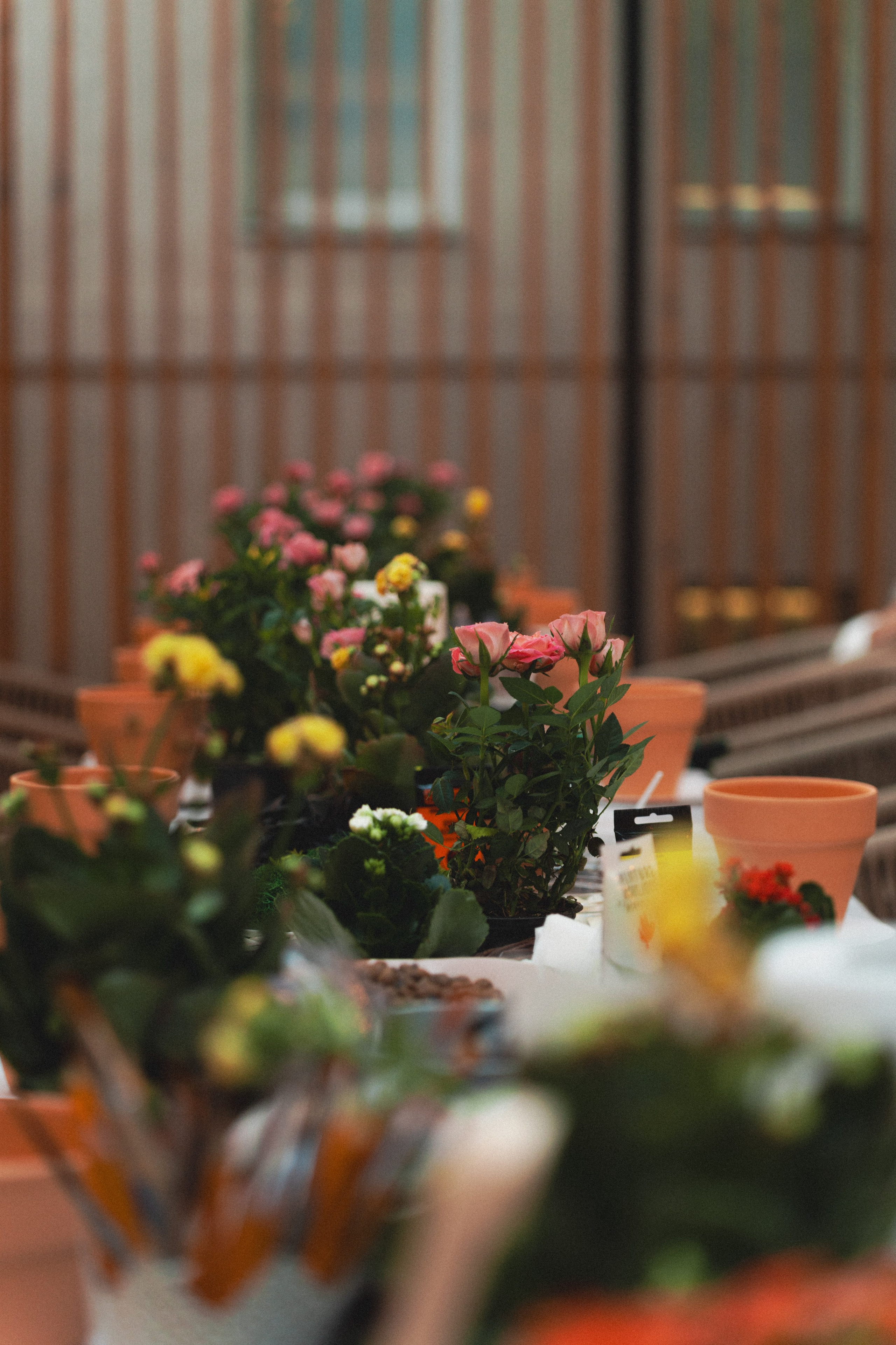 The dacha omni / МТС / репортаж с мероприятия. Фоттéтика / фотоагентство в москве / фотограф москва