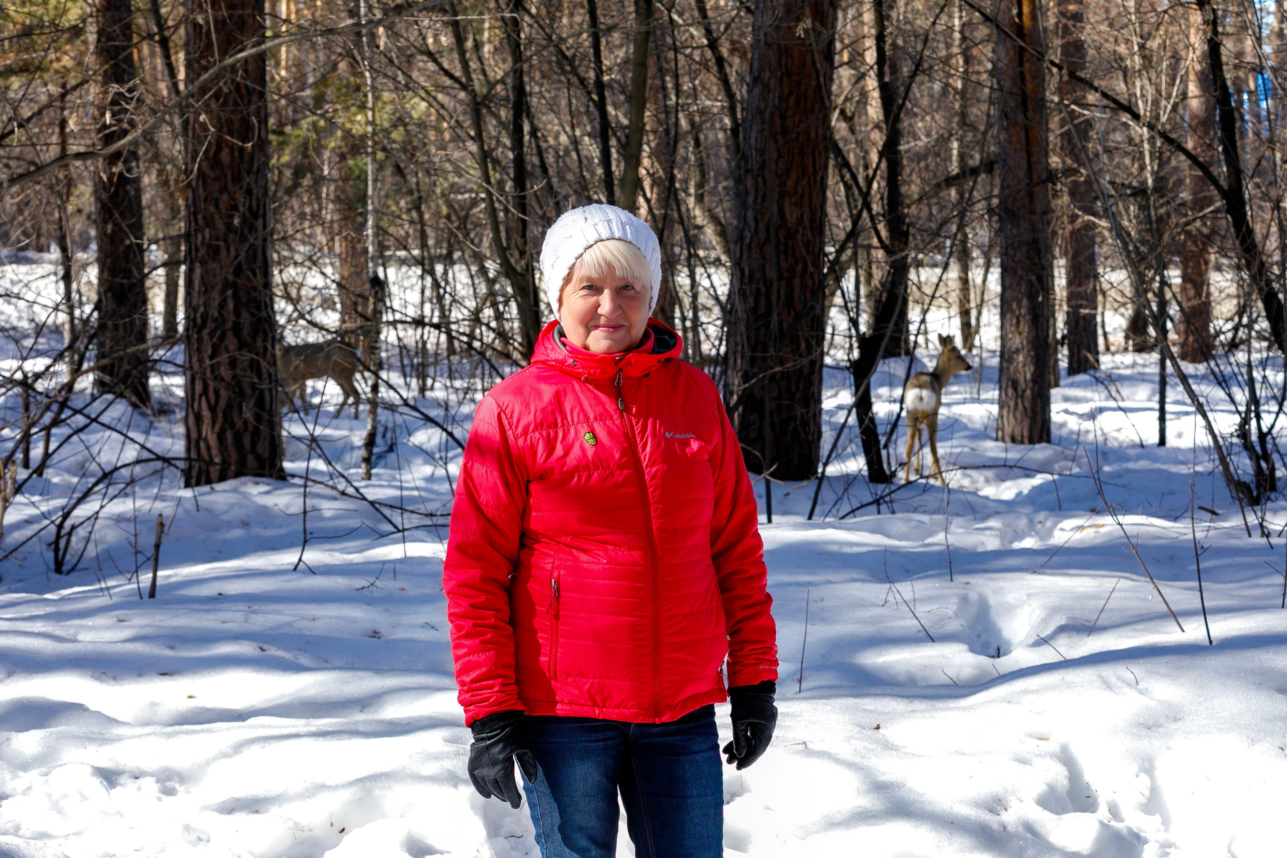 Косули. Фотограф Андрей Гузеев
