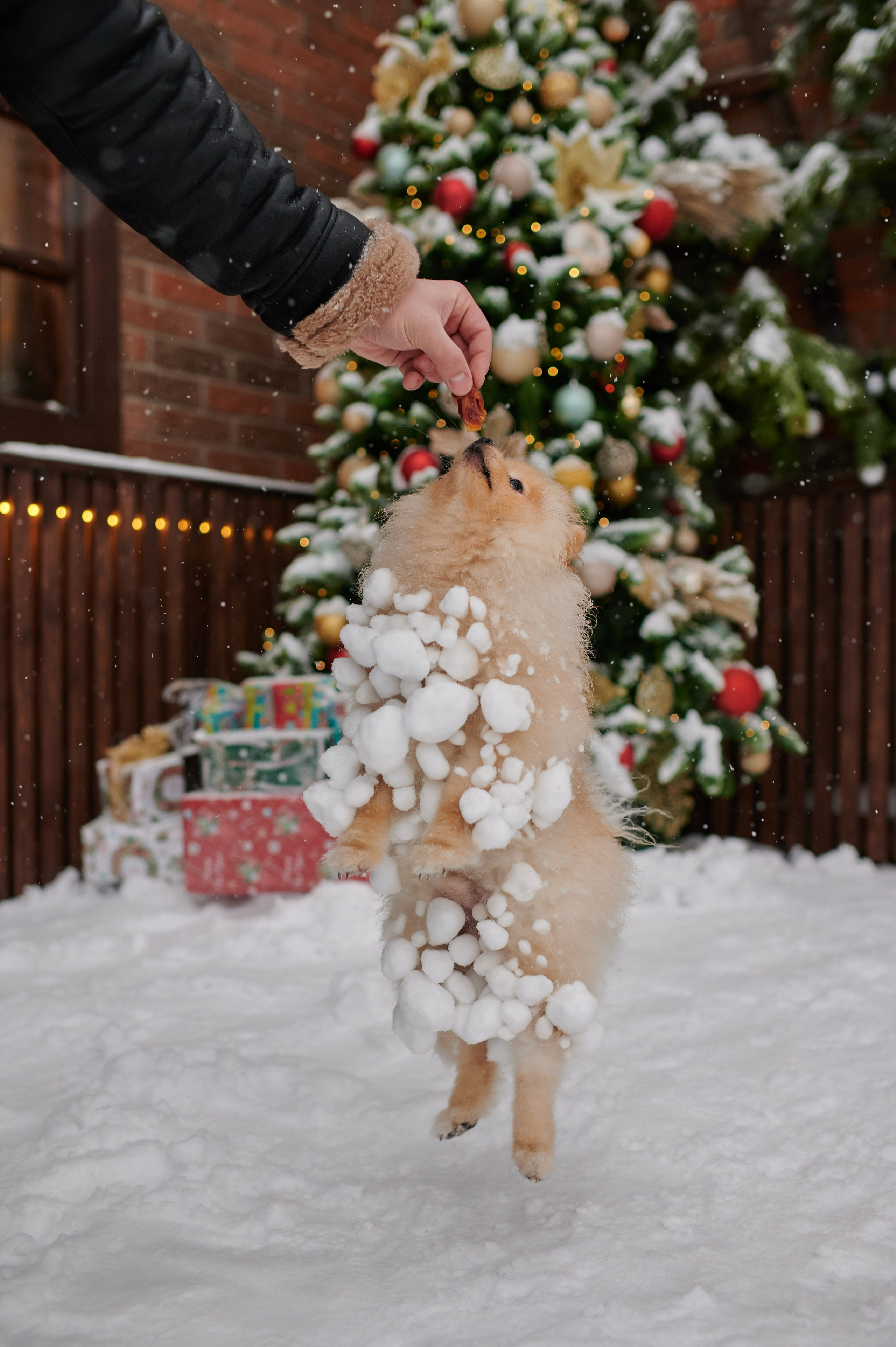 Александра и Егор. Портретный, семейный и свадебный фотограф в Санкт-Петербурге и в Москве Ширяев Денис