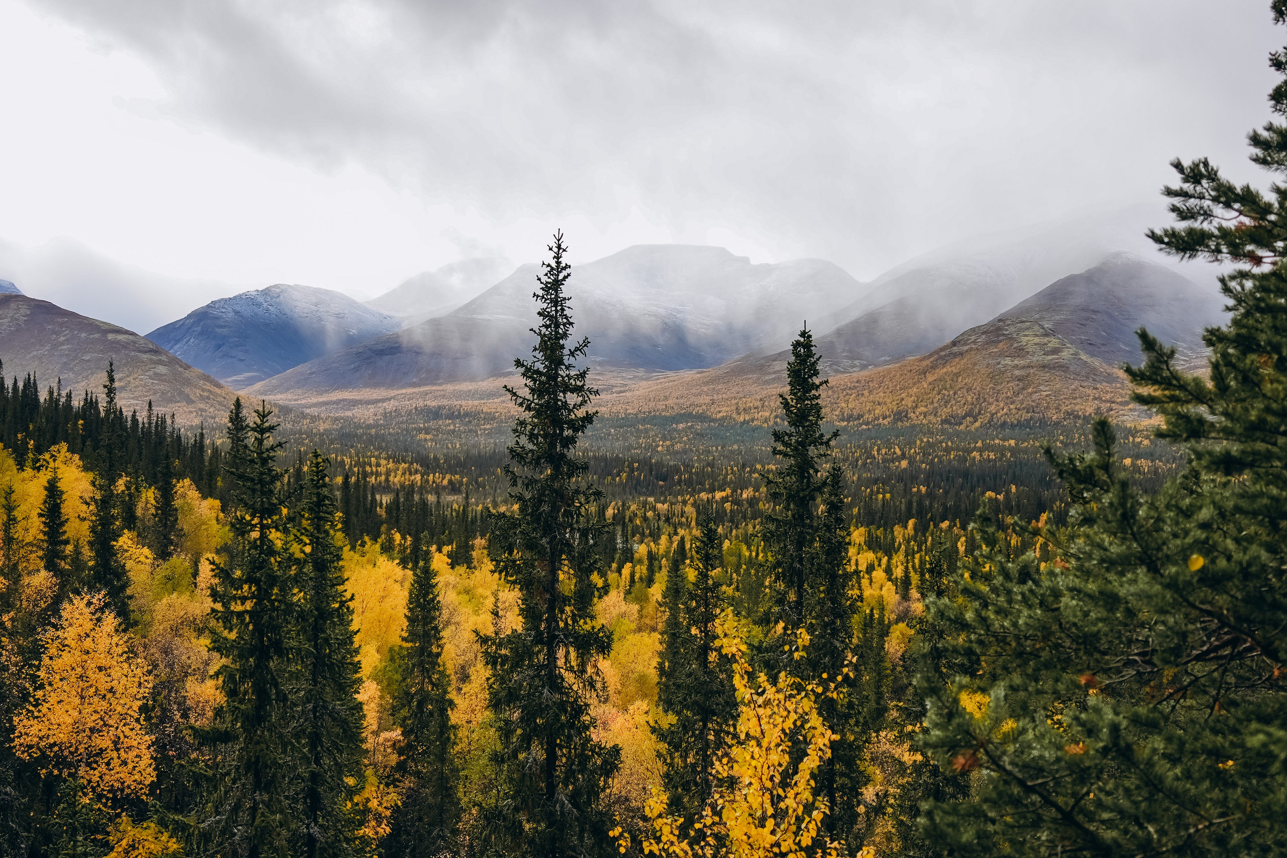 СЕВЕР. Event фотограф Степанова Александра