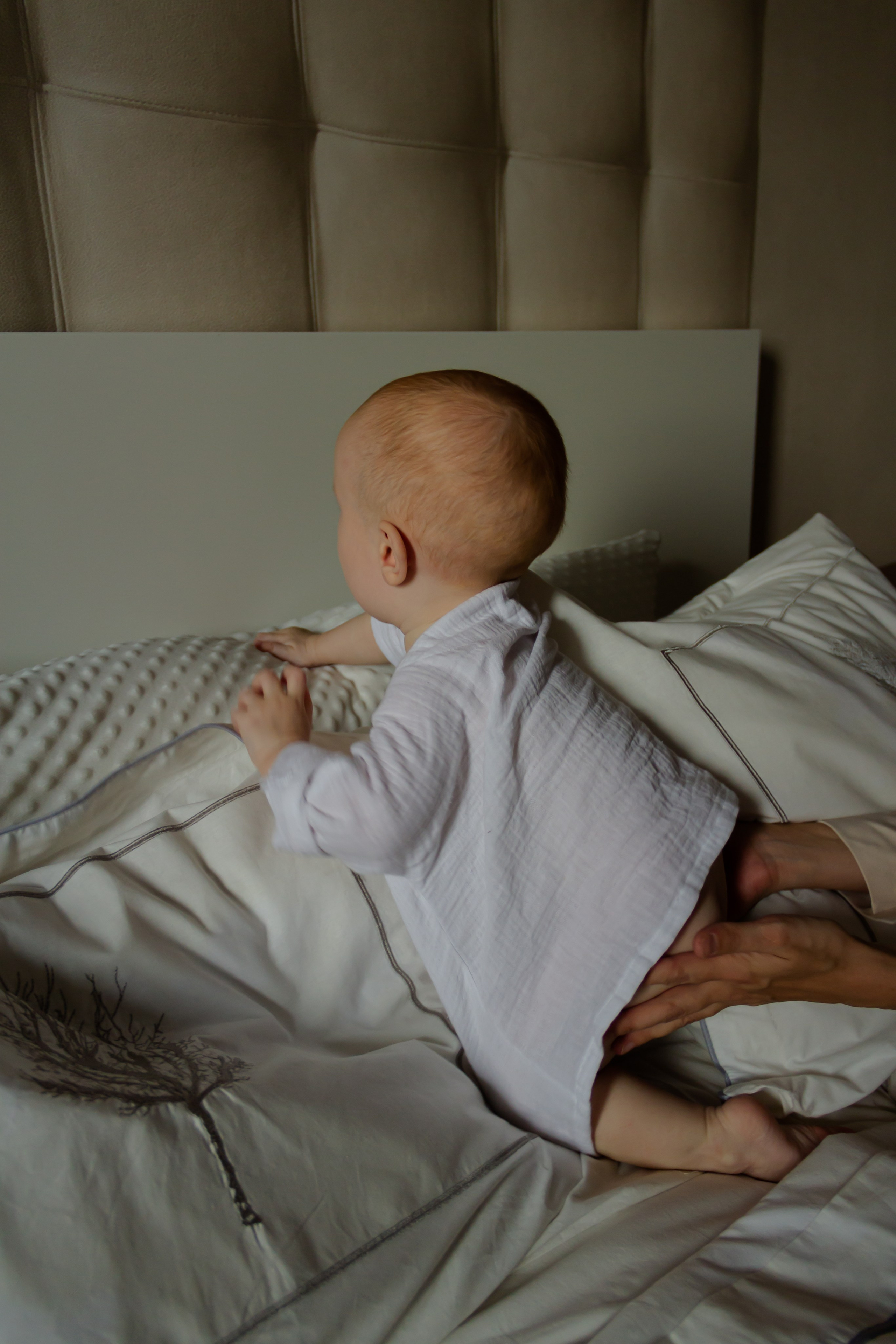 Рустам\Нурсина\Нурияна\Зарина\Сармат