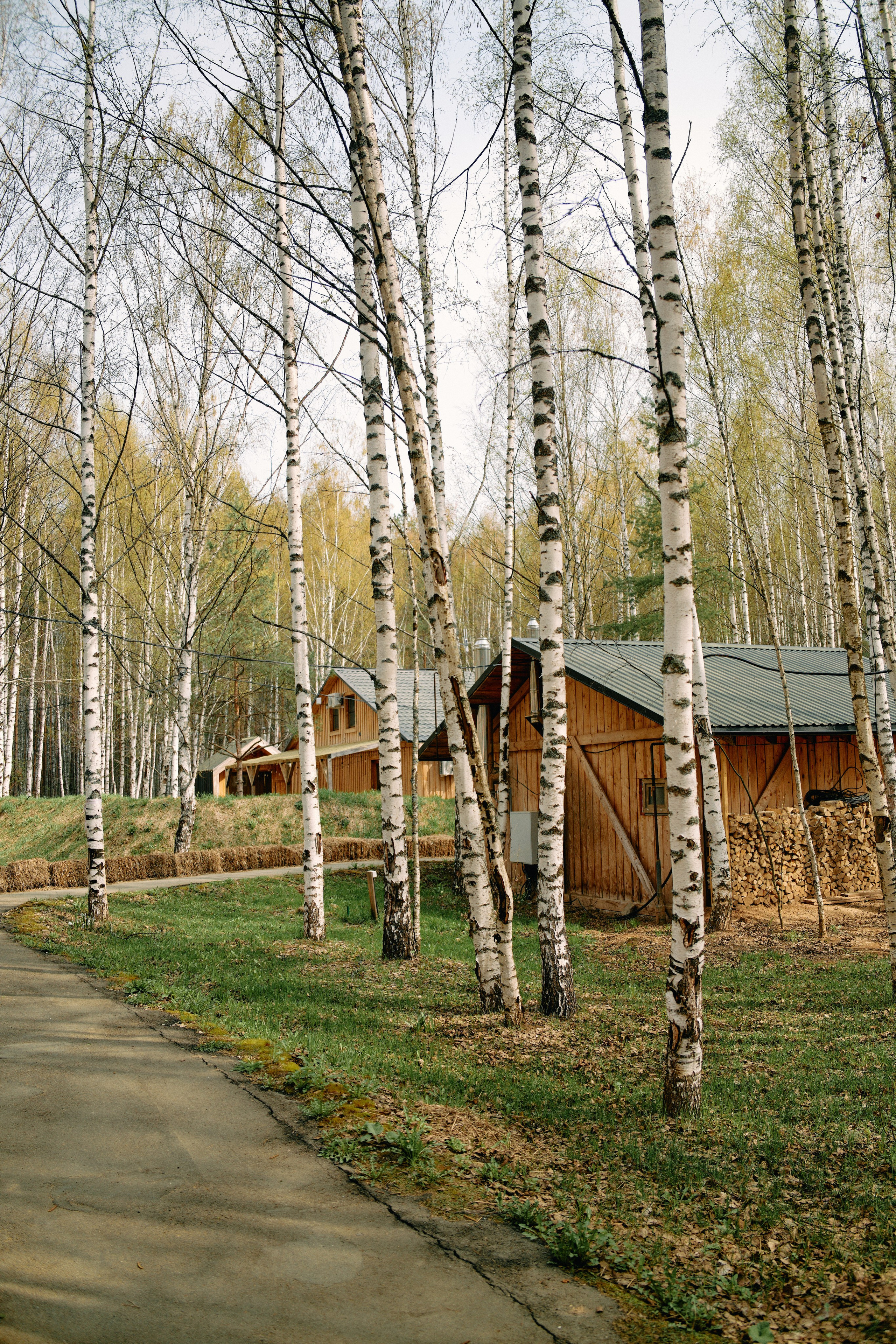 Бутик-отель Поле летом. Профессиональный Фотограф во Владимире, в Москве и в Суздале — Полина Романычева