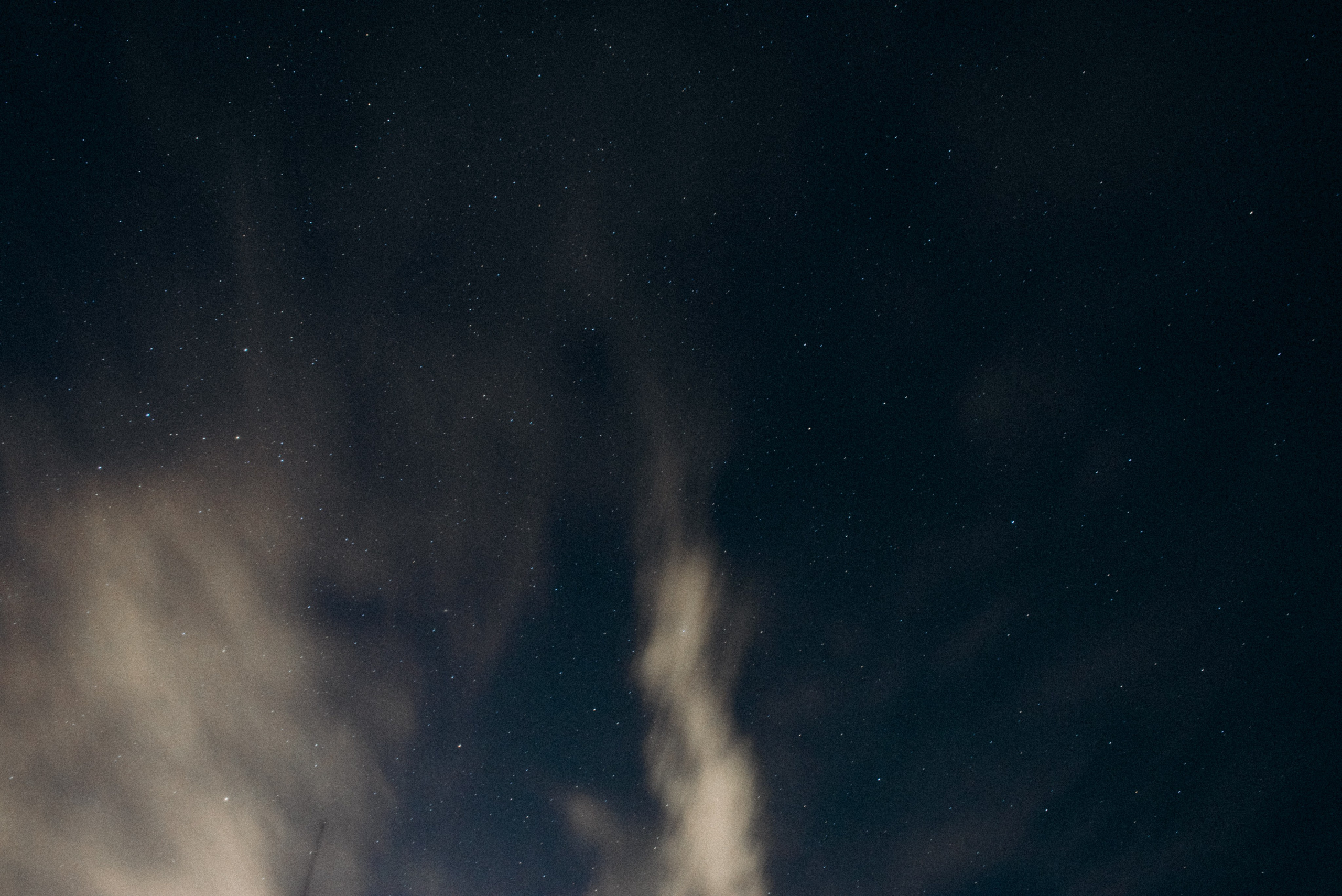 Harmoyfest 2023 Georgia 🇬🇪. Anita_photo