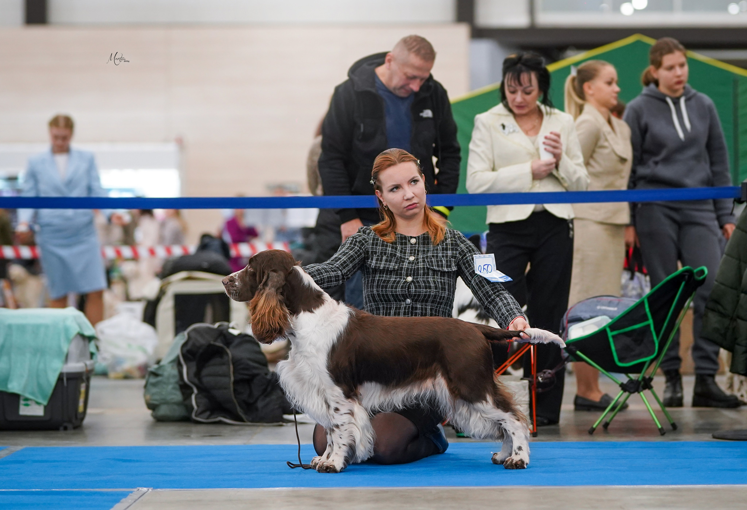 Выставки 2024. Фотограф-анималист в Санкт-Петербурге Яна Мартынова