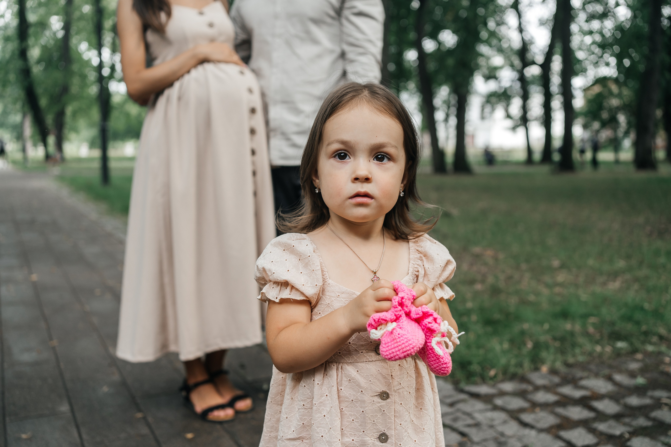 Абиша и Илья