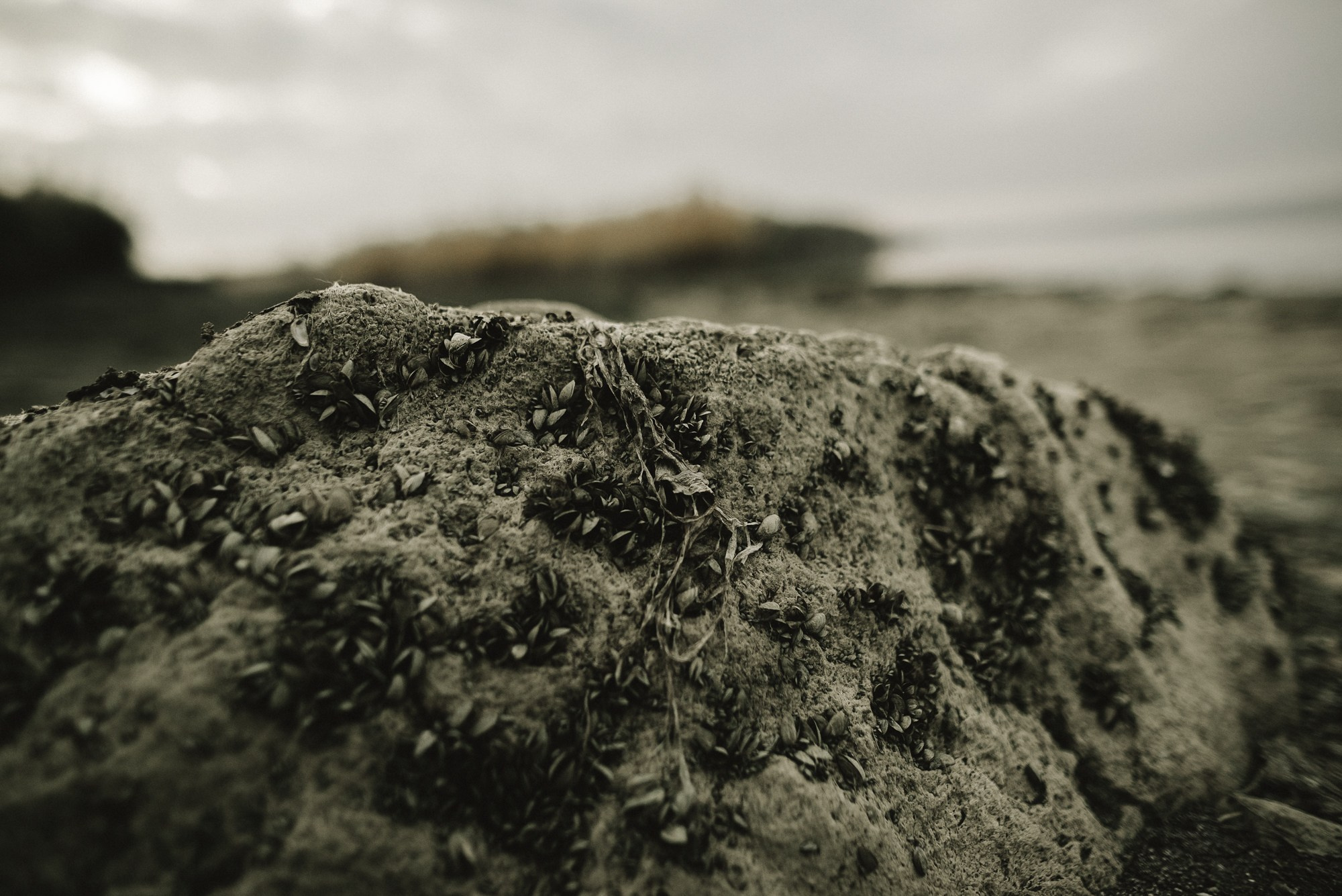 КРЕСТНАЯ СЕМЬЯ. Свадебный фотограф в Ставрополе Сергей Шляхов