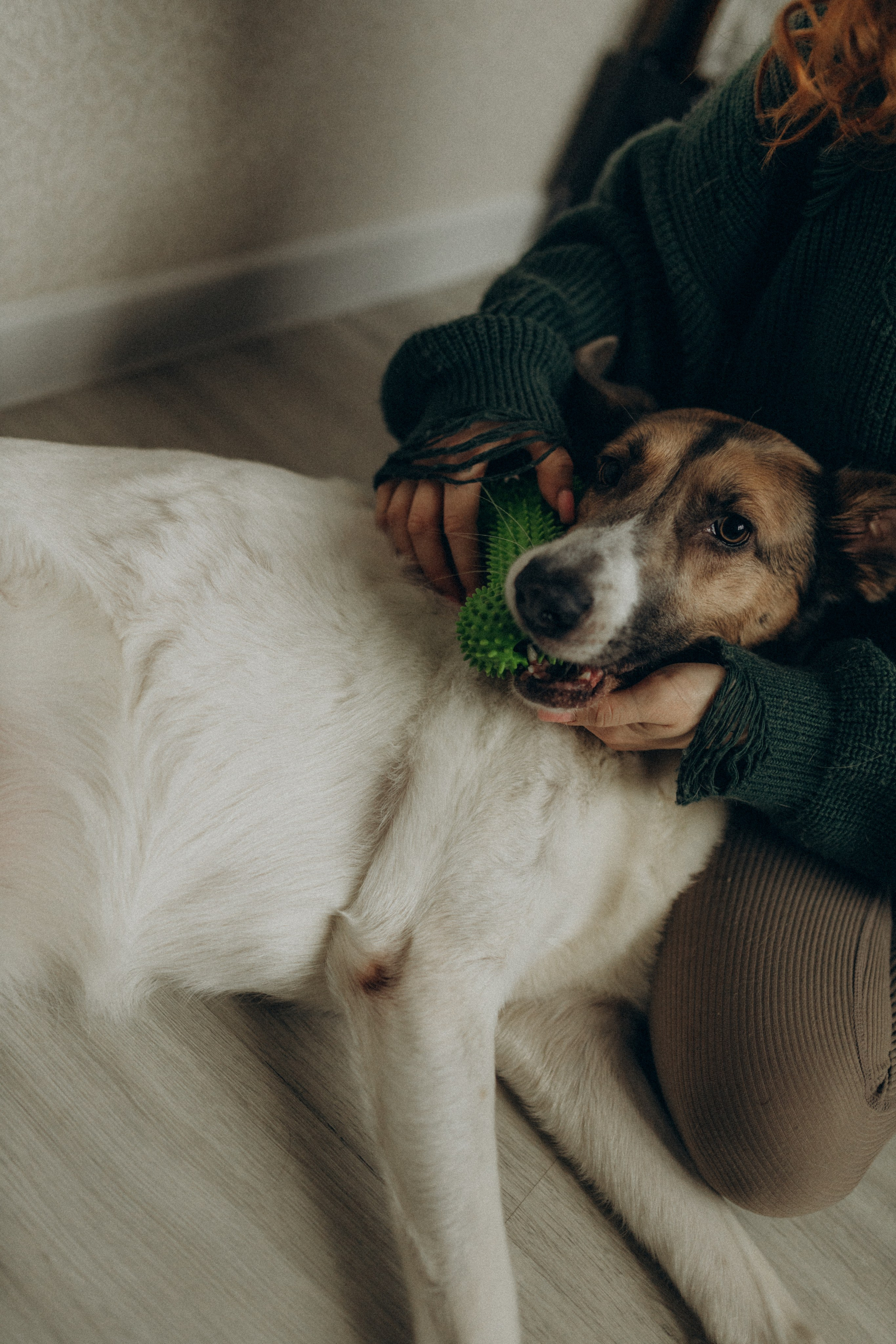 Полина. Фотограф НОГИНСК, Москва, Анастасия Белая