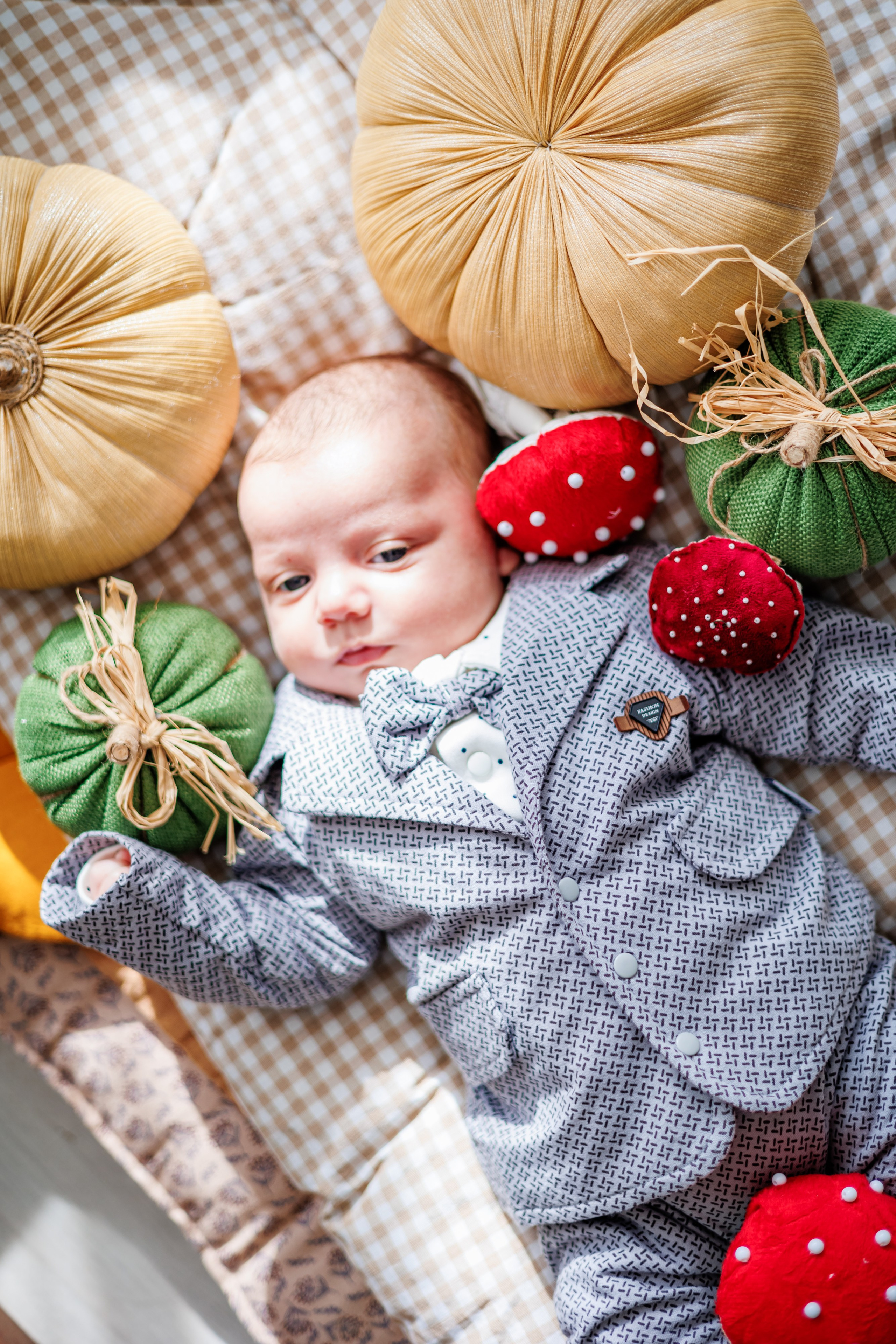 2 года фотостудия Пудра. Свадебный и семейный фотограф в Армавире