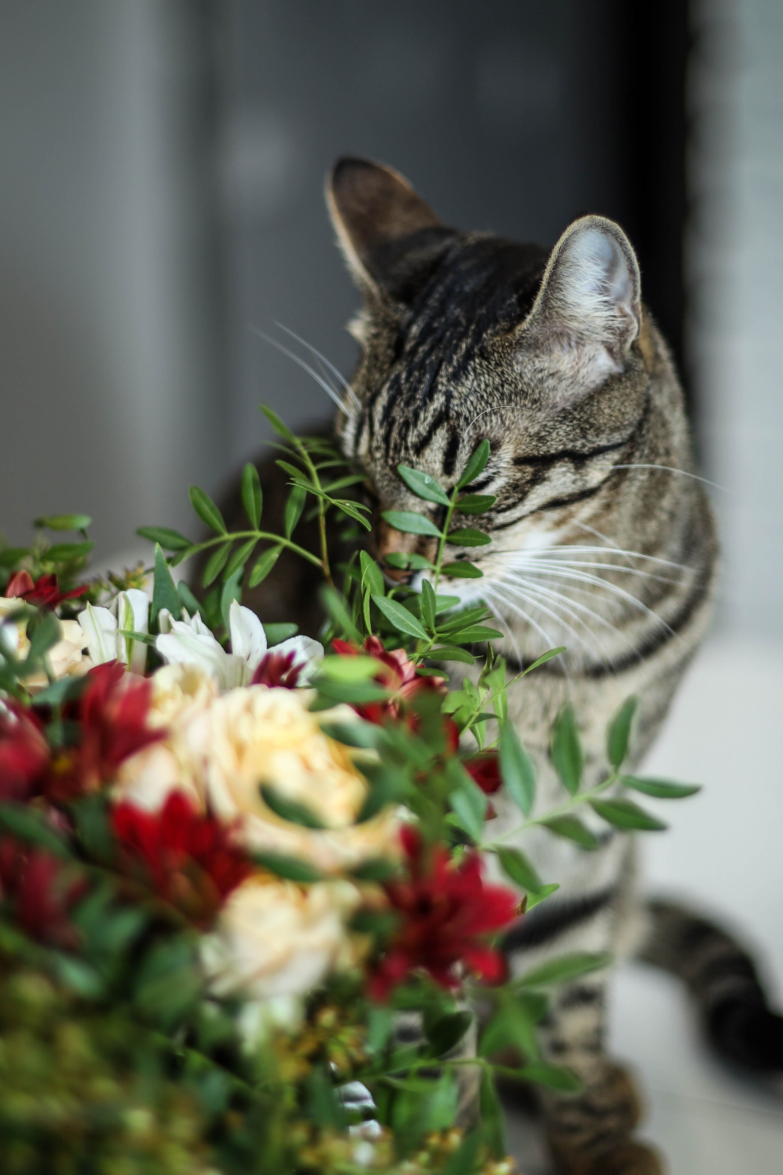 Нежность. Семейный, детский, свадебный фотограф в Москве, Люберцах