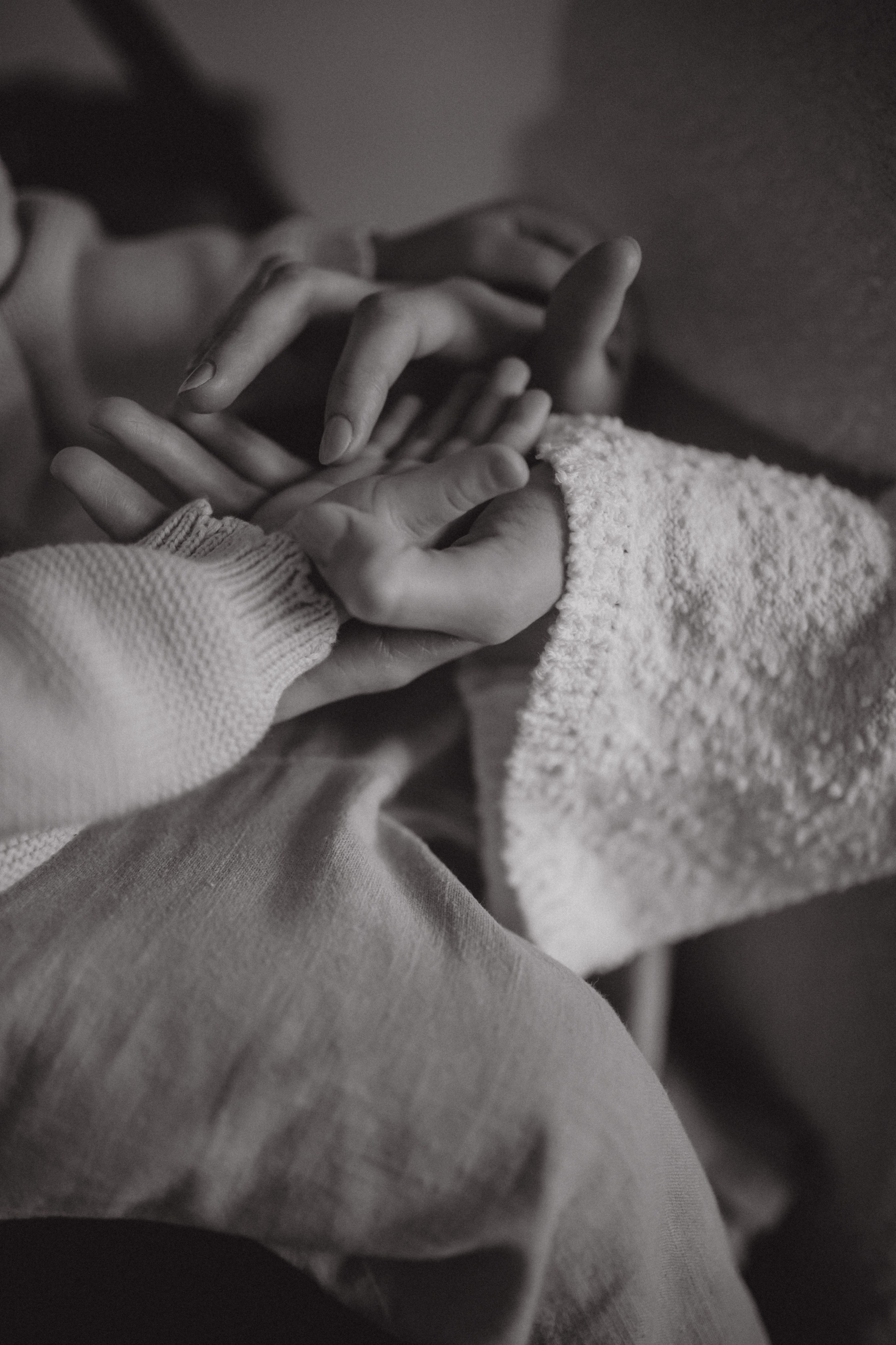 Перед Рождеством. Ваш фотограф АНАстасия Земскова