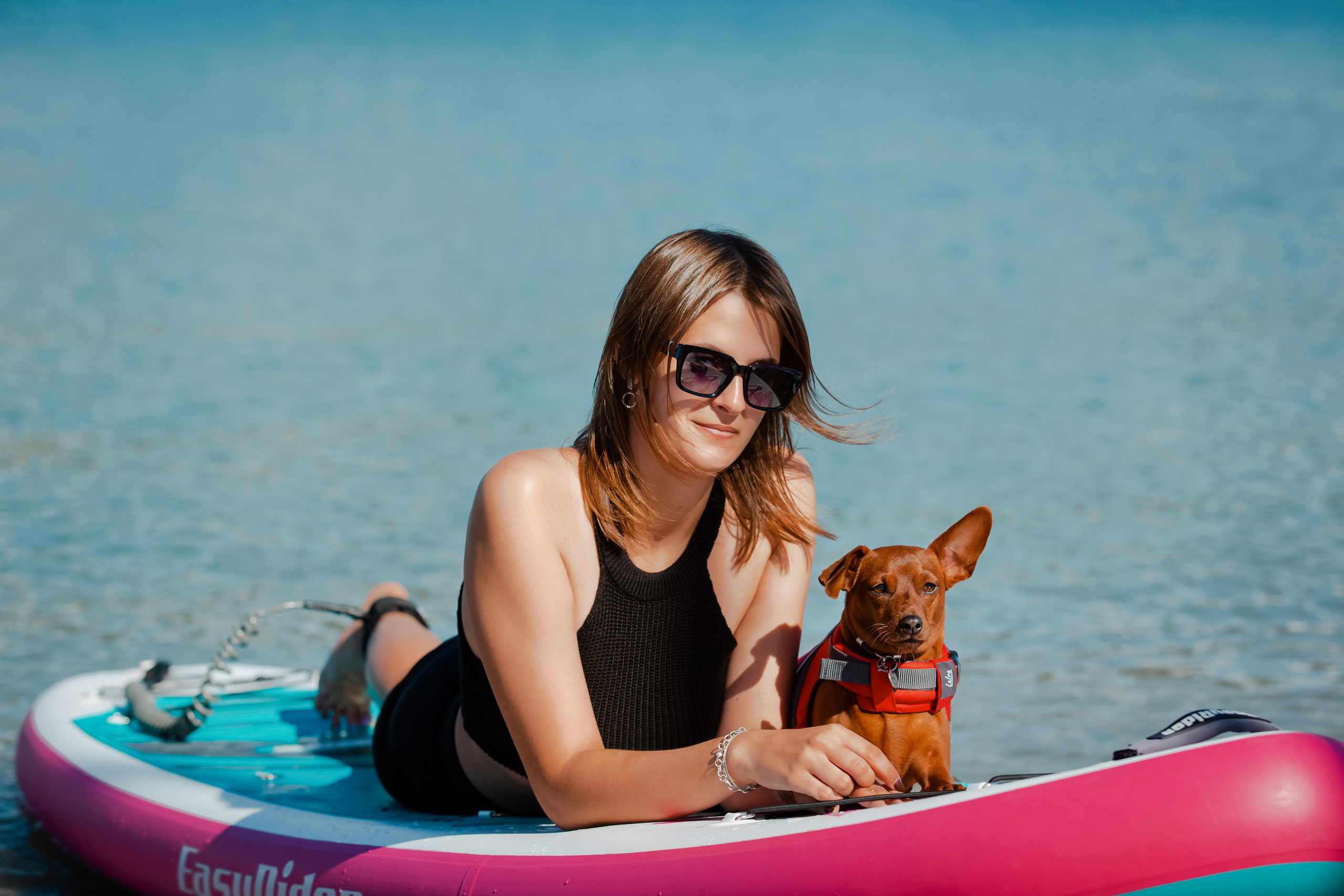 Цвергпинчер в Геленджике. Фотограф-анималист в Краснодаре Маша Мельникова