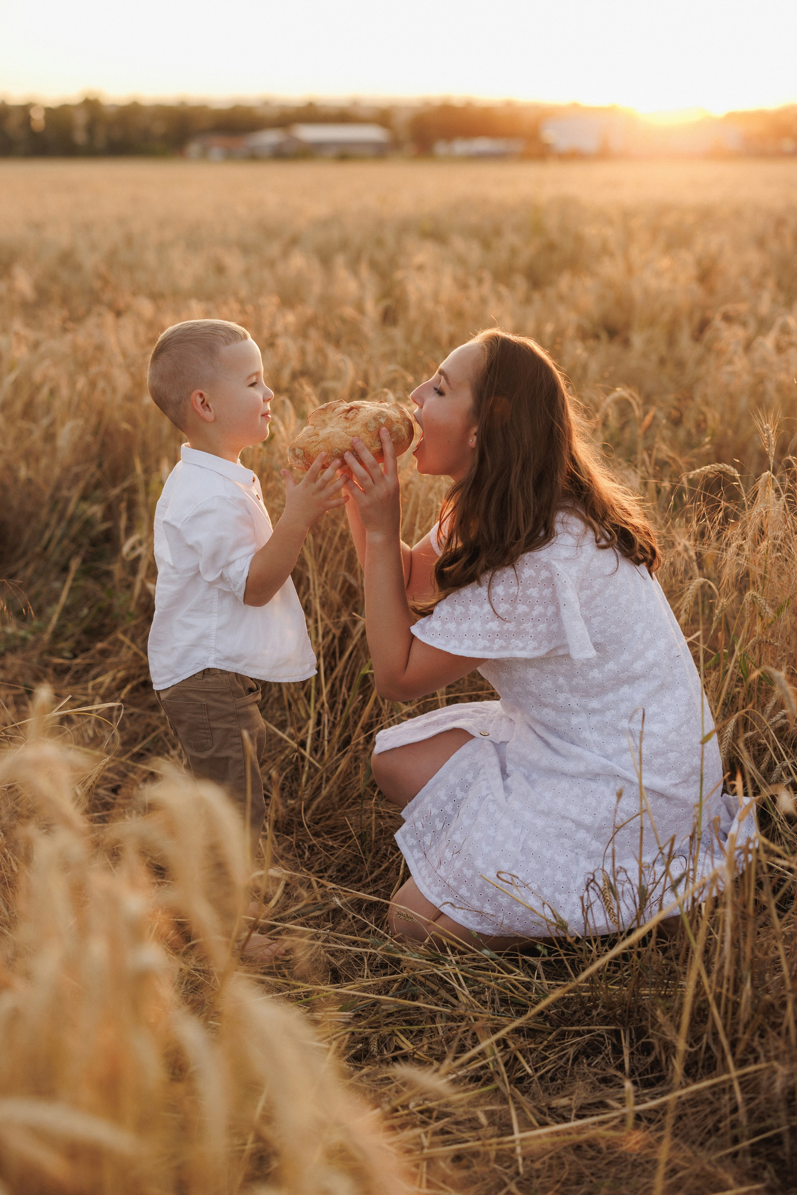 Пшеничное поле, семьи. Семейный и детский фотограф в Краснодаре Анна Трашкова