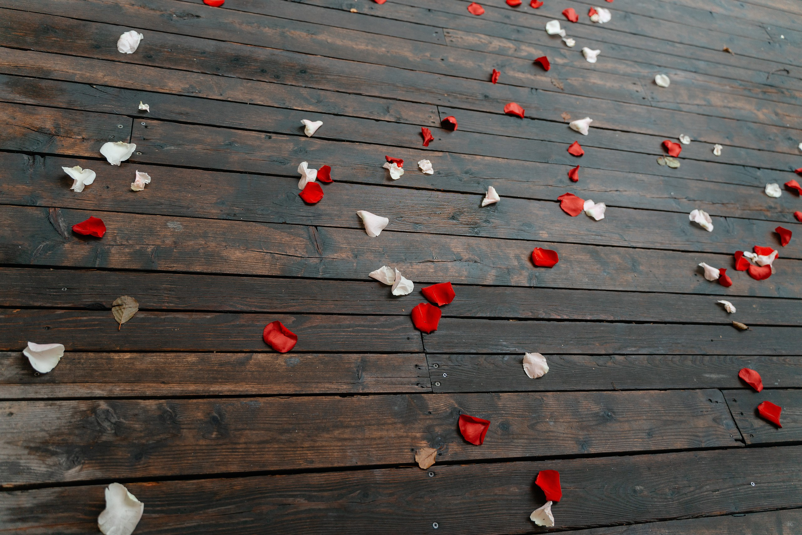 Пихта Артемий Диана. Свадебный Фотограф Казань Челны