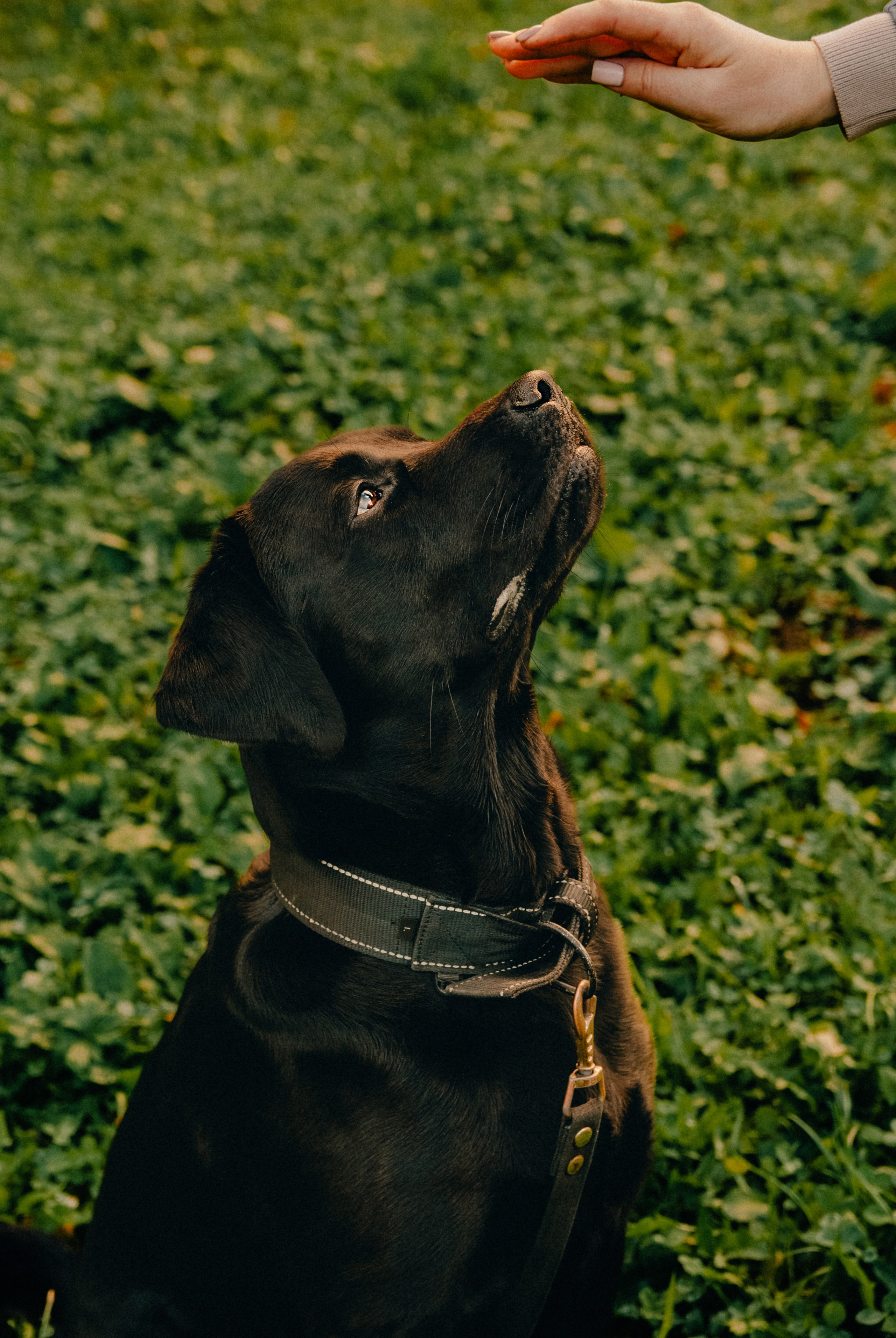 Зоопарк в моём багаже. Кошенкова Мария: портретный и репортажный фотограф. Санкт-Петербург