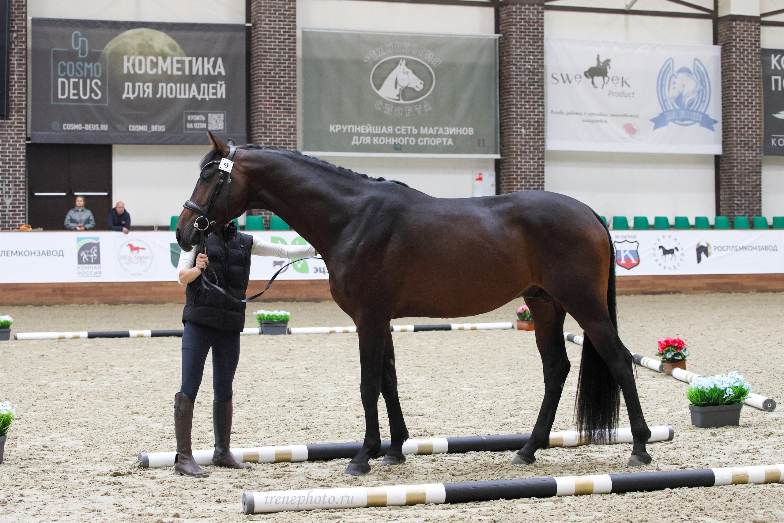 Конная Россия 2024. Irenephoto.ru