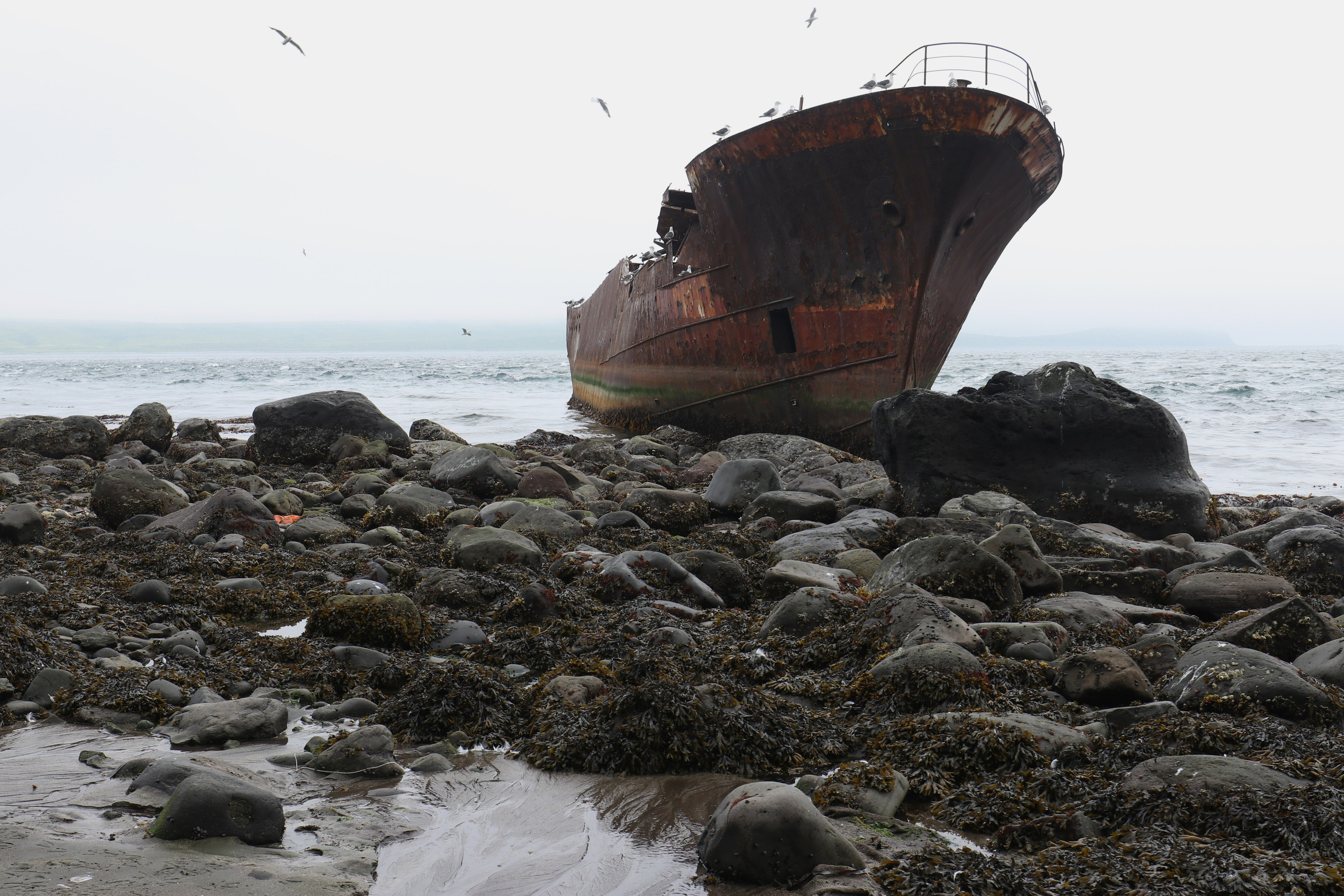 Камчатка и о. Парамушир. Июль 2024. Путешественник-фотограф из Санкт-Петербурга Татьяна Свистулина