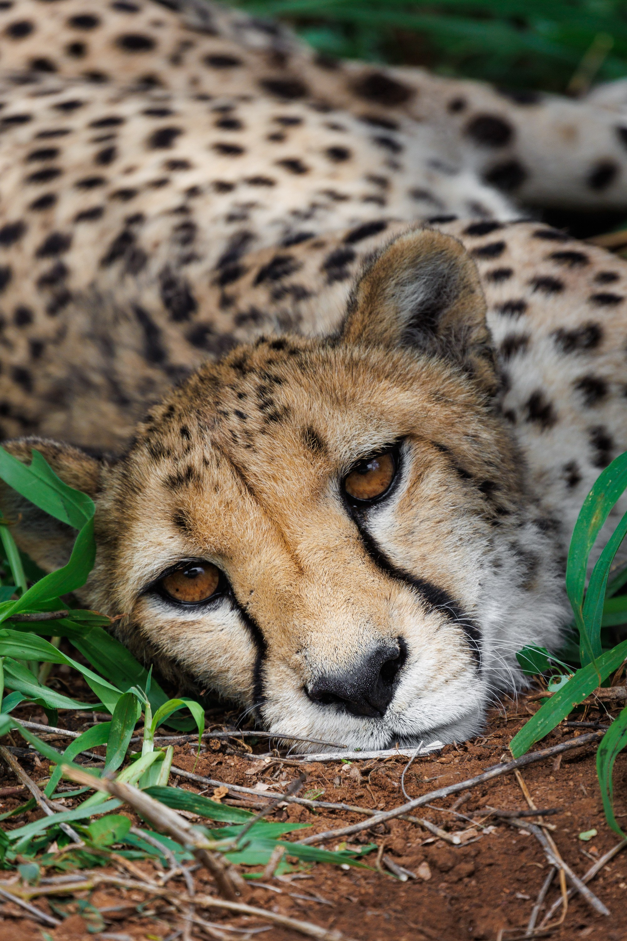 НАМИБИЯ. Роадтрип