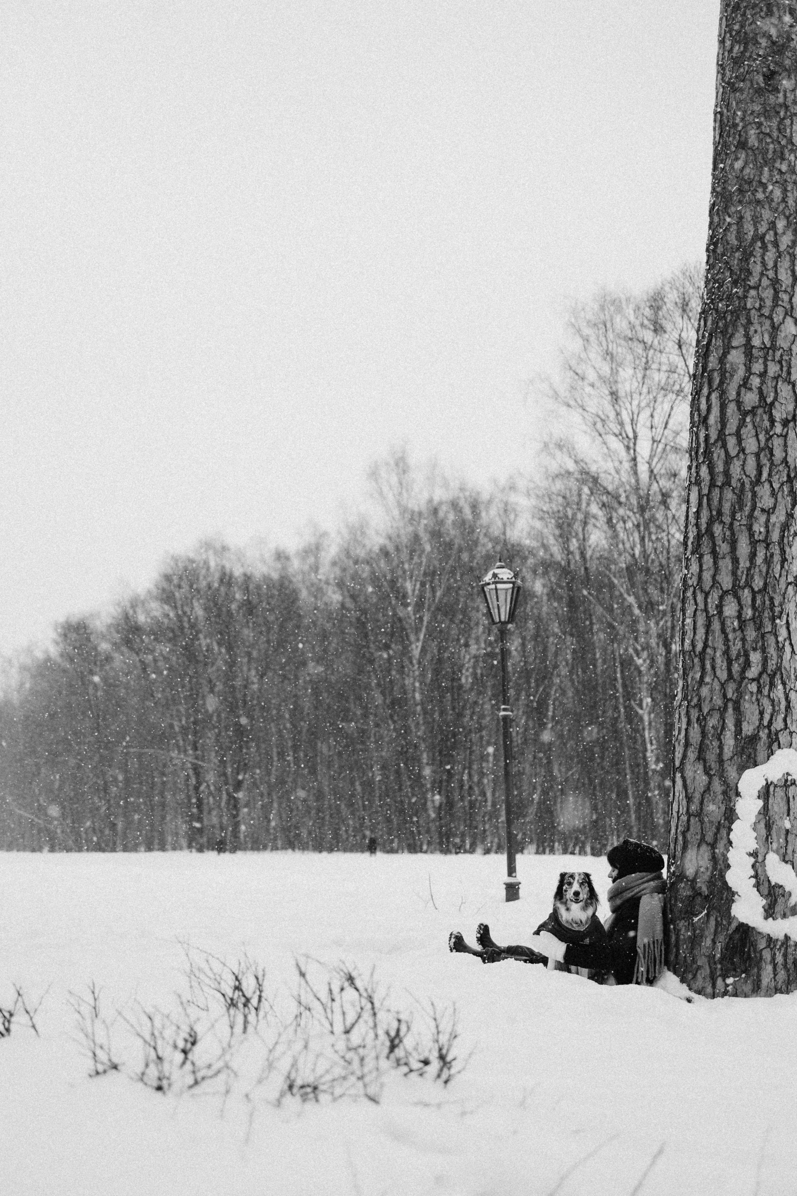 Настя и Тор. Фотораф — анималист Мария Шистка