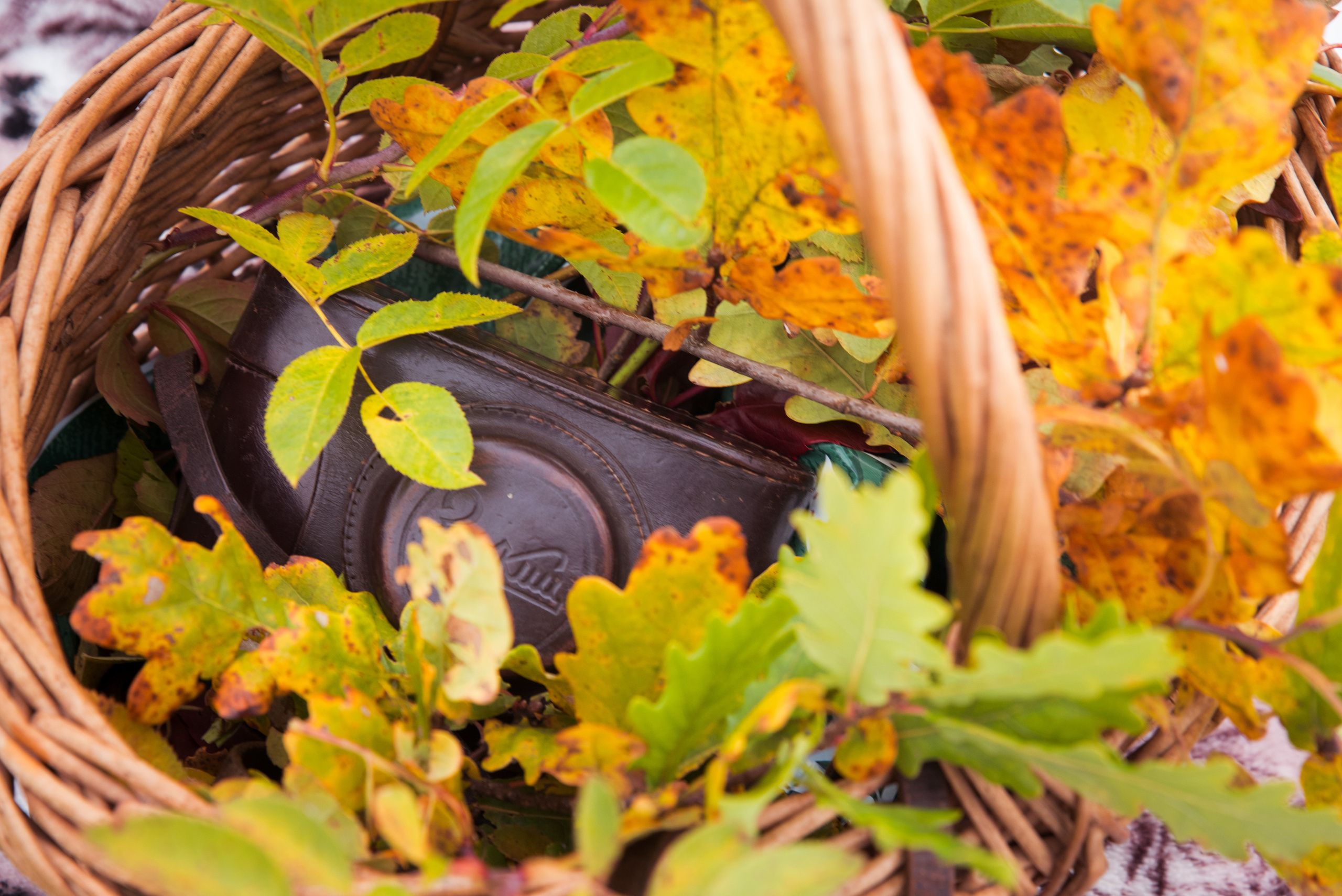 Фотограф для всей семьи. Дарья Нетреба Фотограф на Крещение, Венчание Псков и область